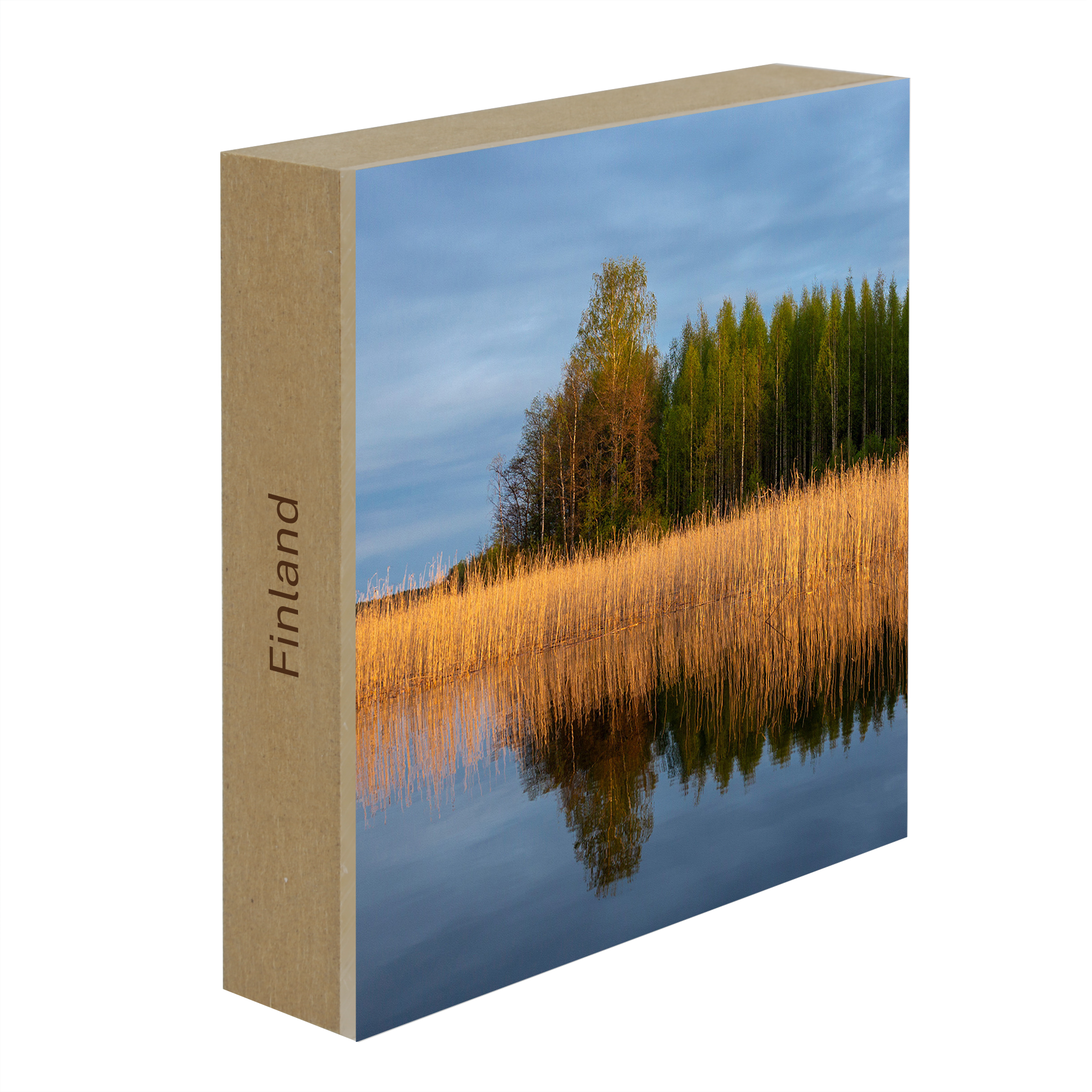 Reedbed - Collection: Finland