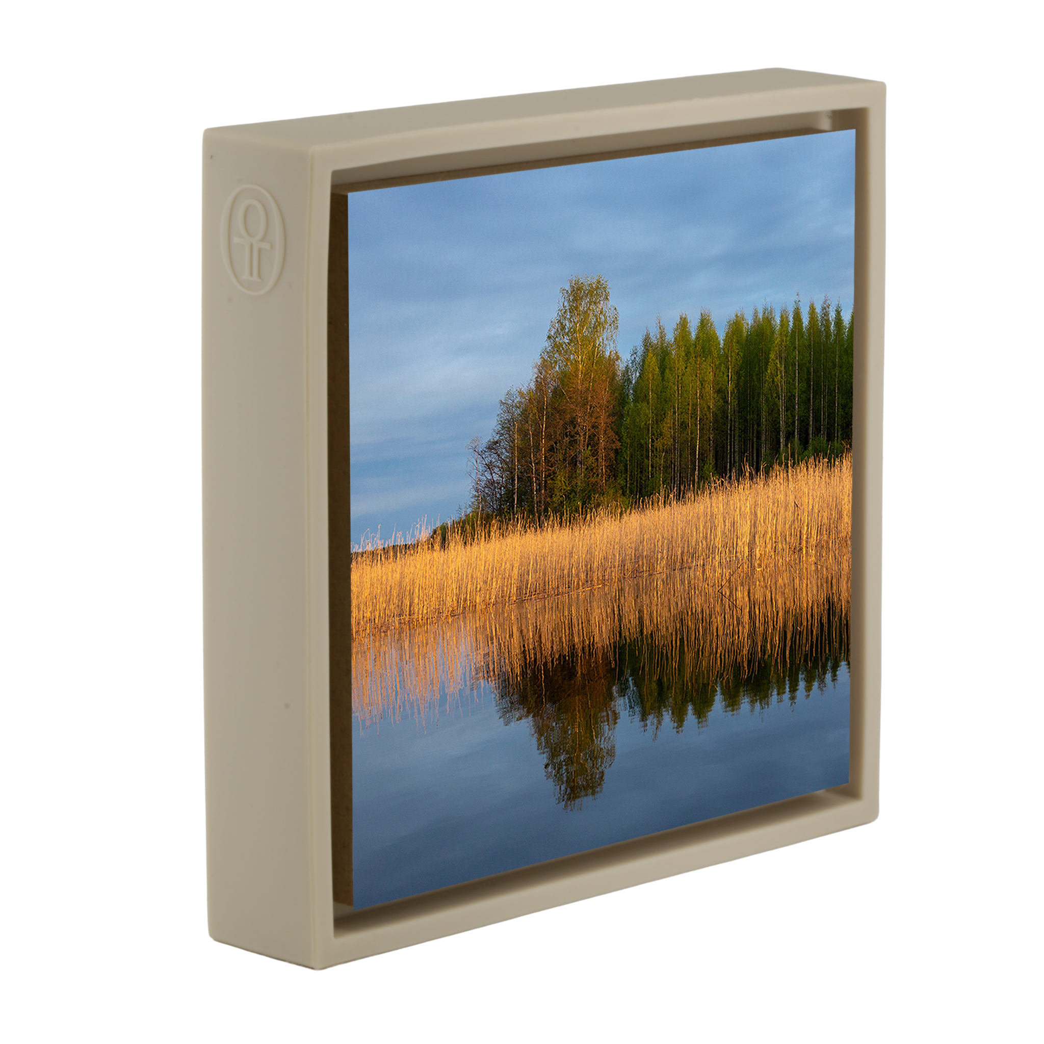 Reedbed - Sand Wrapp