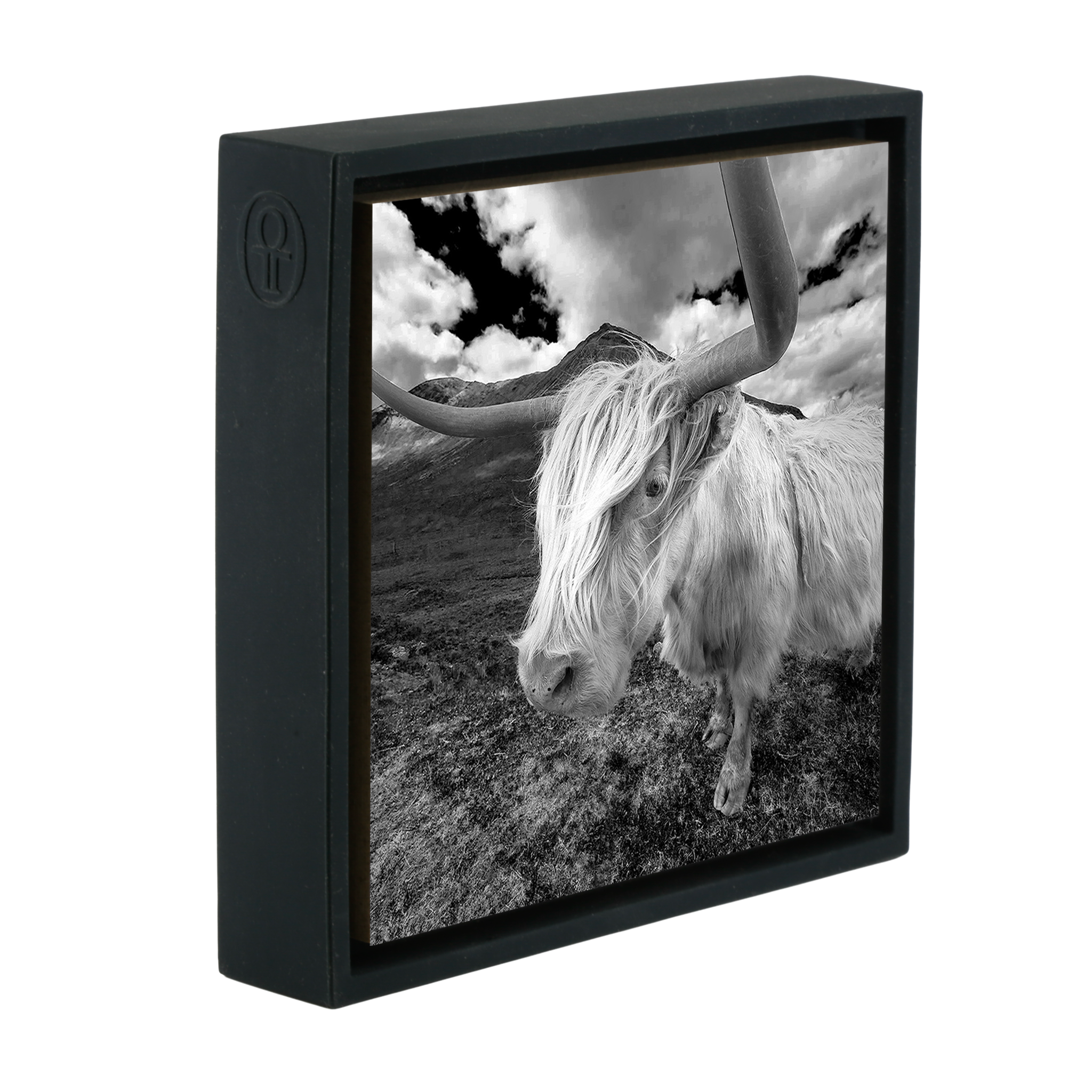 Scottish Highlander - Zwarte Wrapp