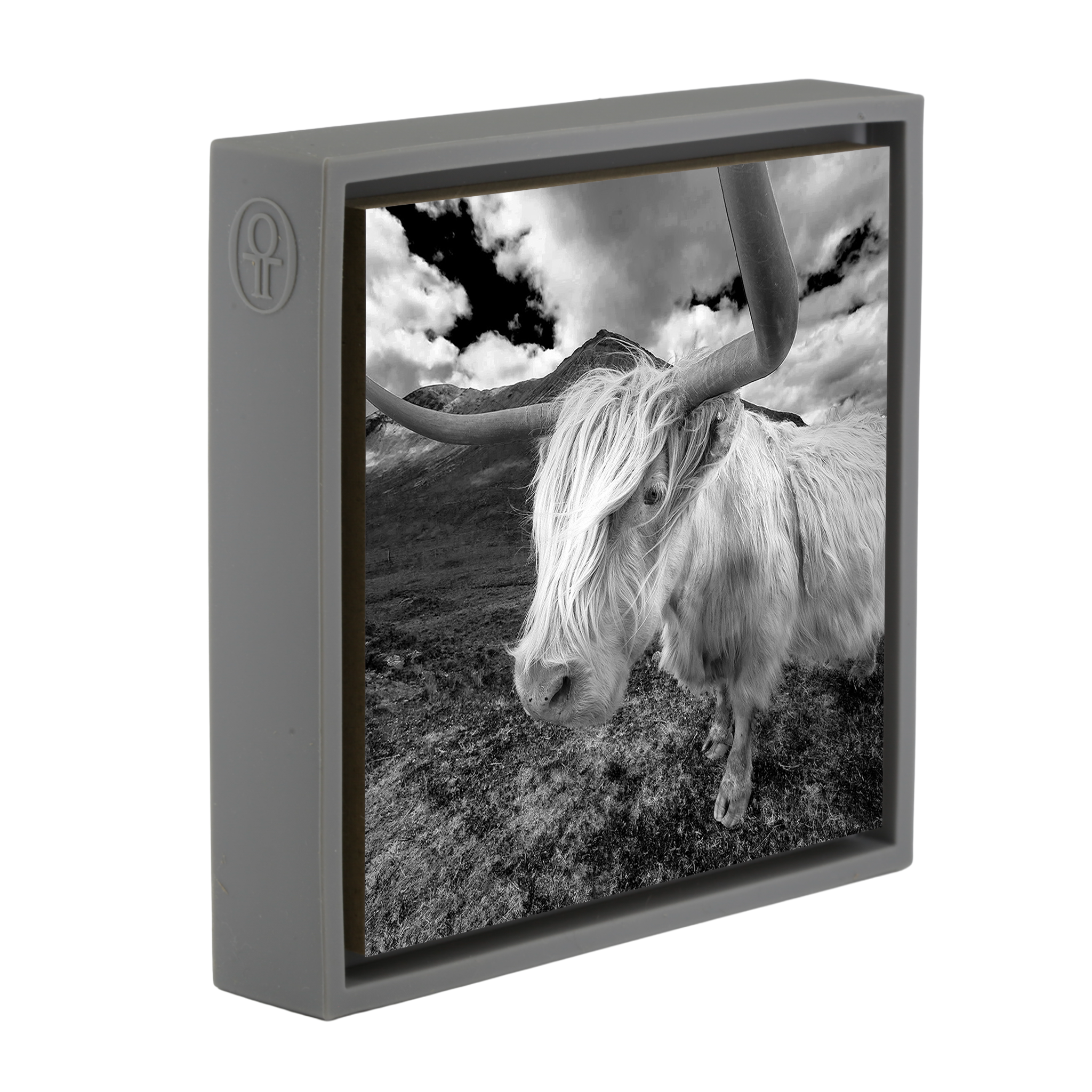 Scottish Highlander - Grey Wrapp
