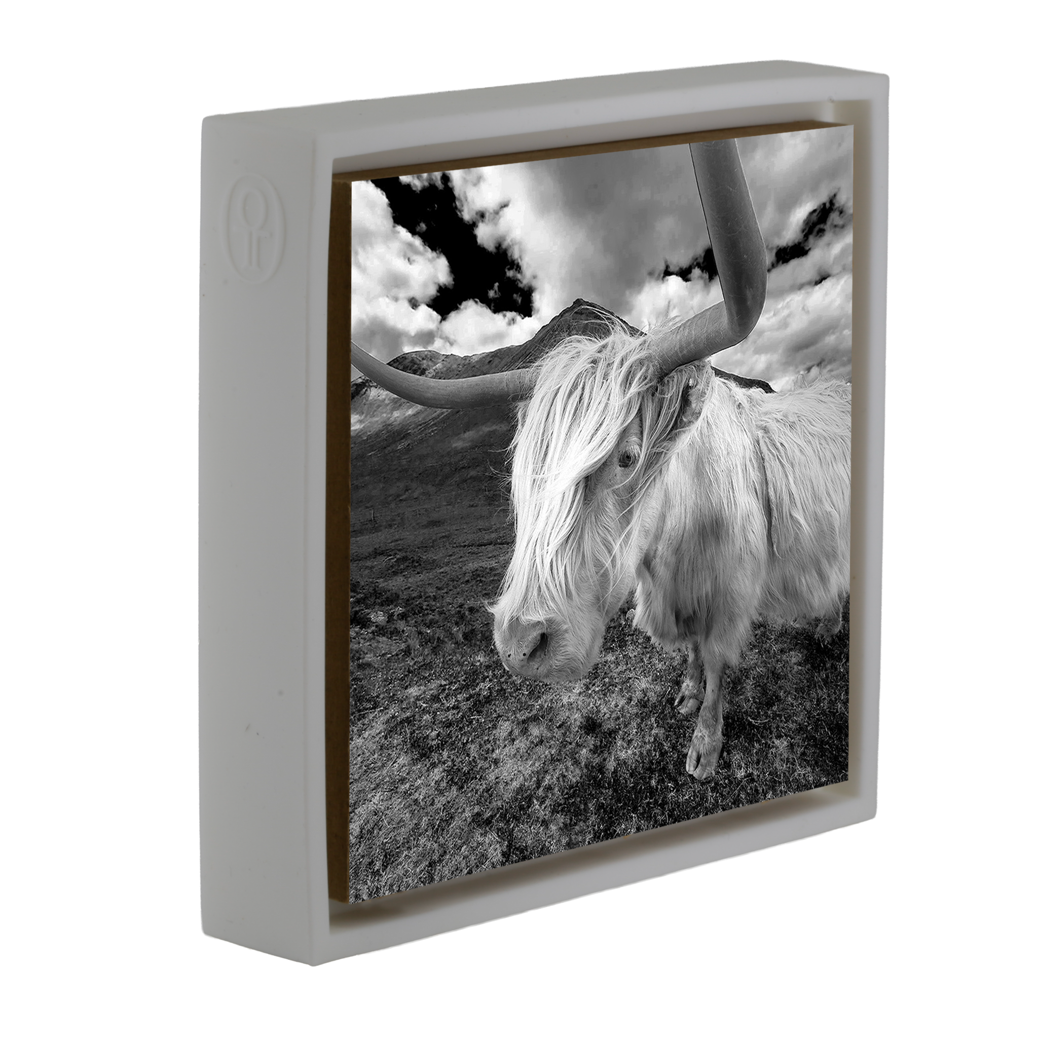 Scottish Highlander - White Wrapp