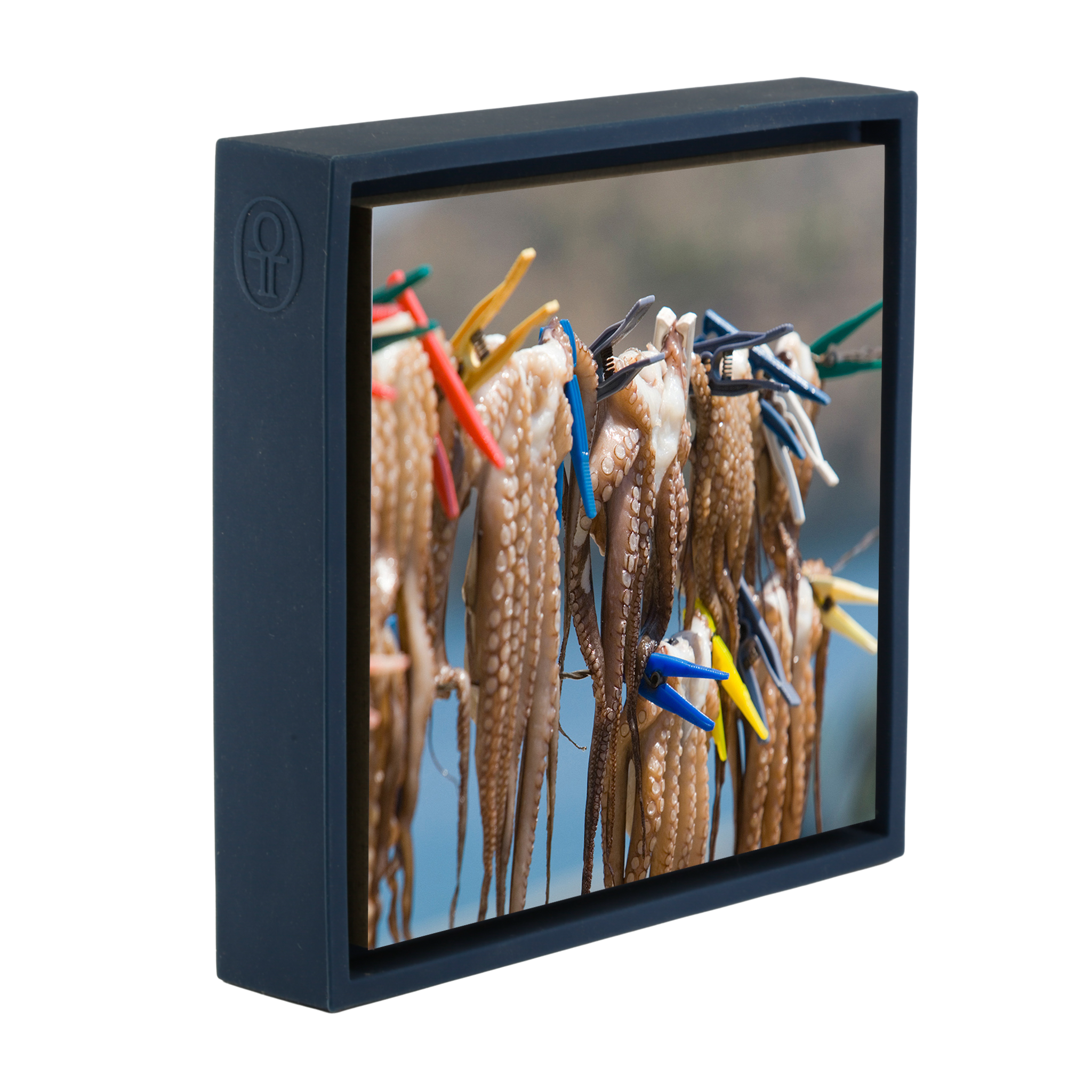 Oktopus - Dunkelblaue Verpackung