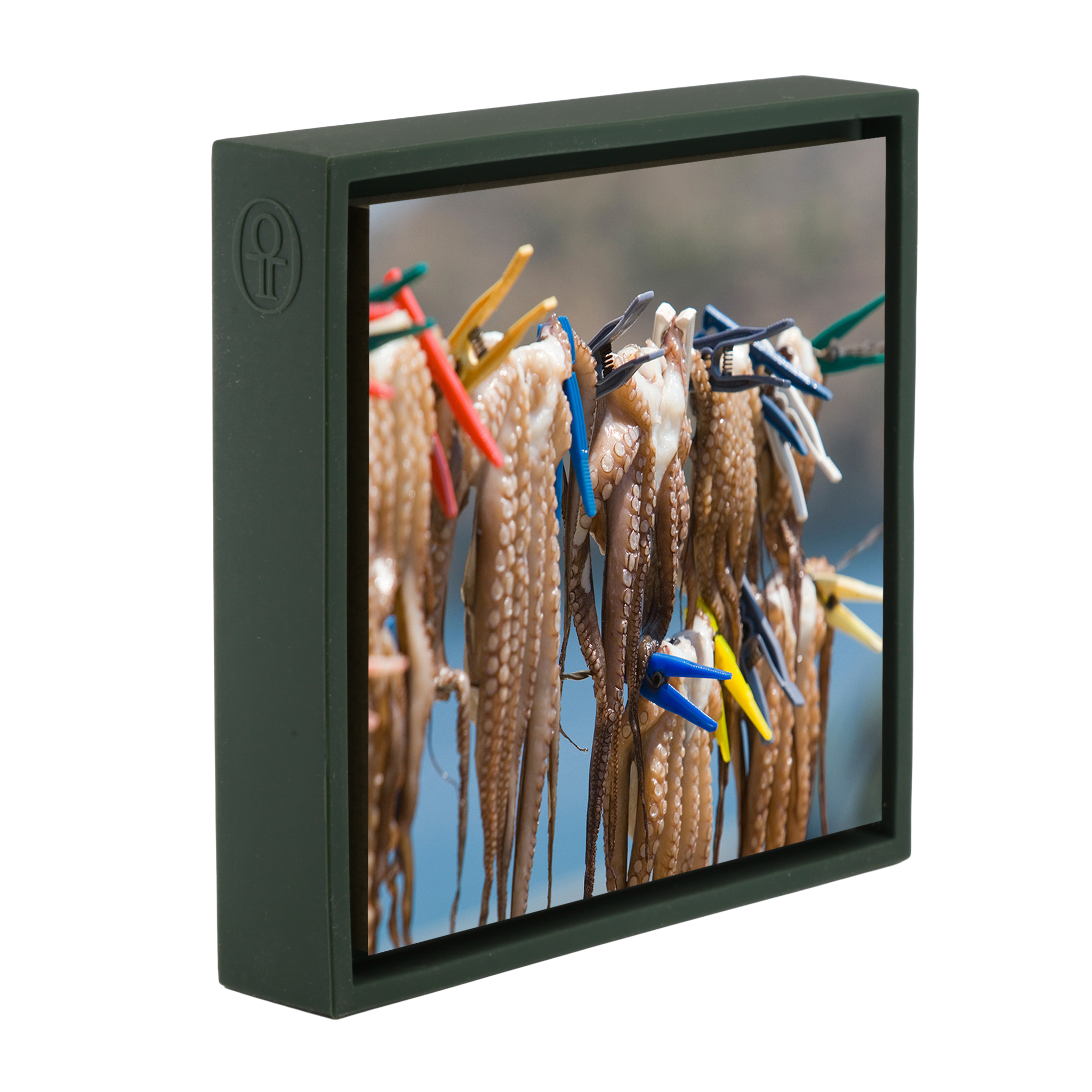 Oktopus - Dunkelgrüne Verpackung