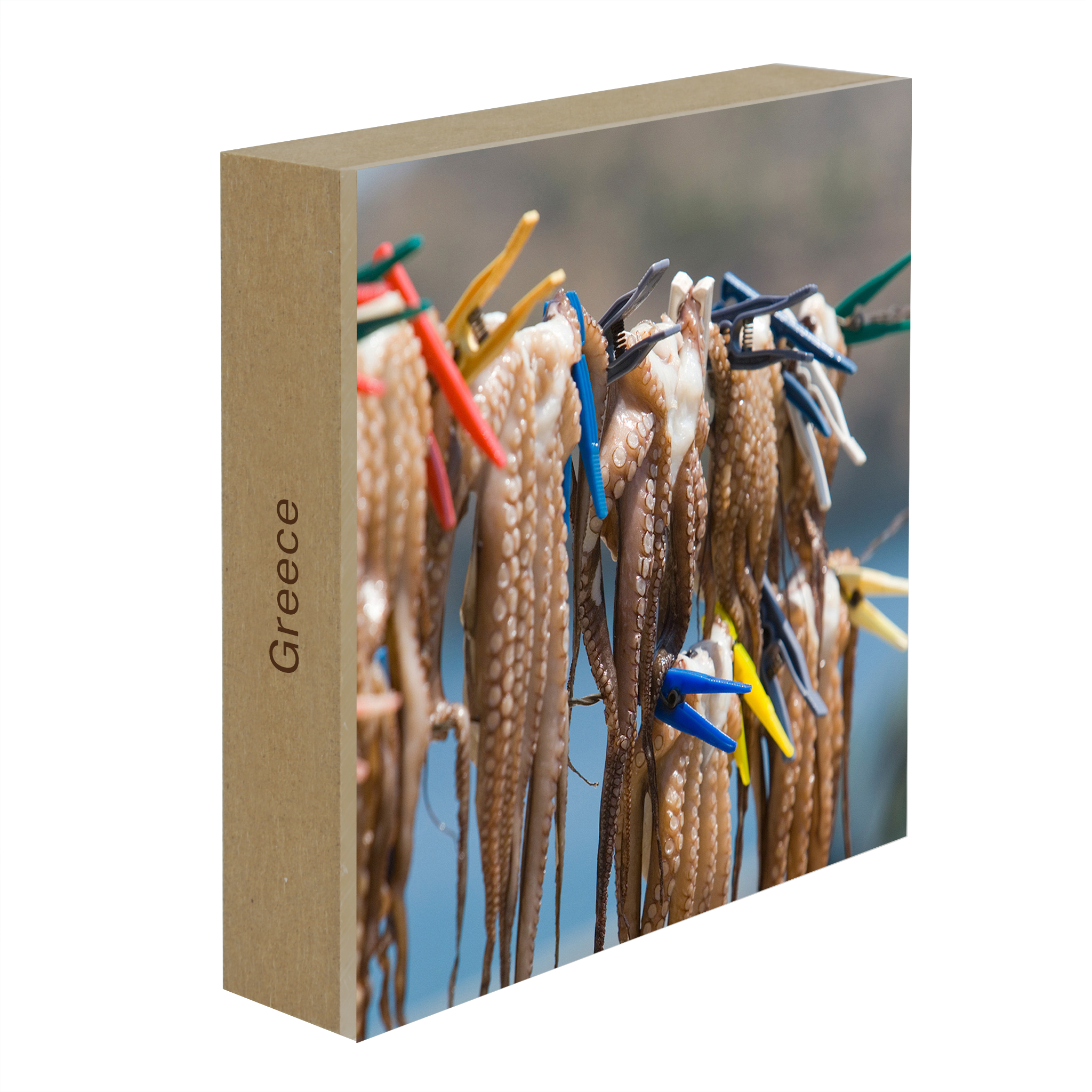 Octopus - Collection: Greece