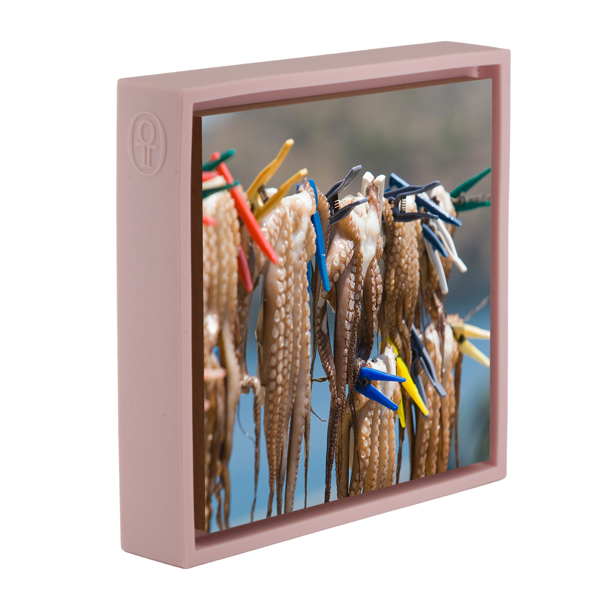 Octopus - Pink Wrapp