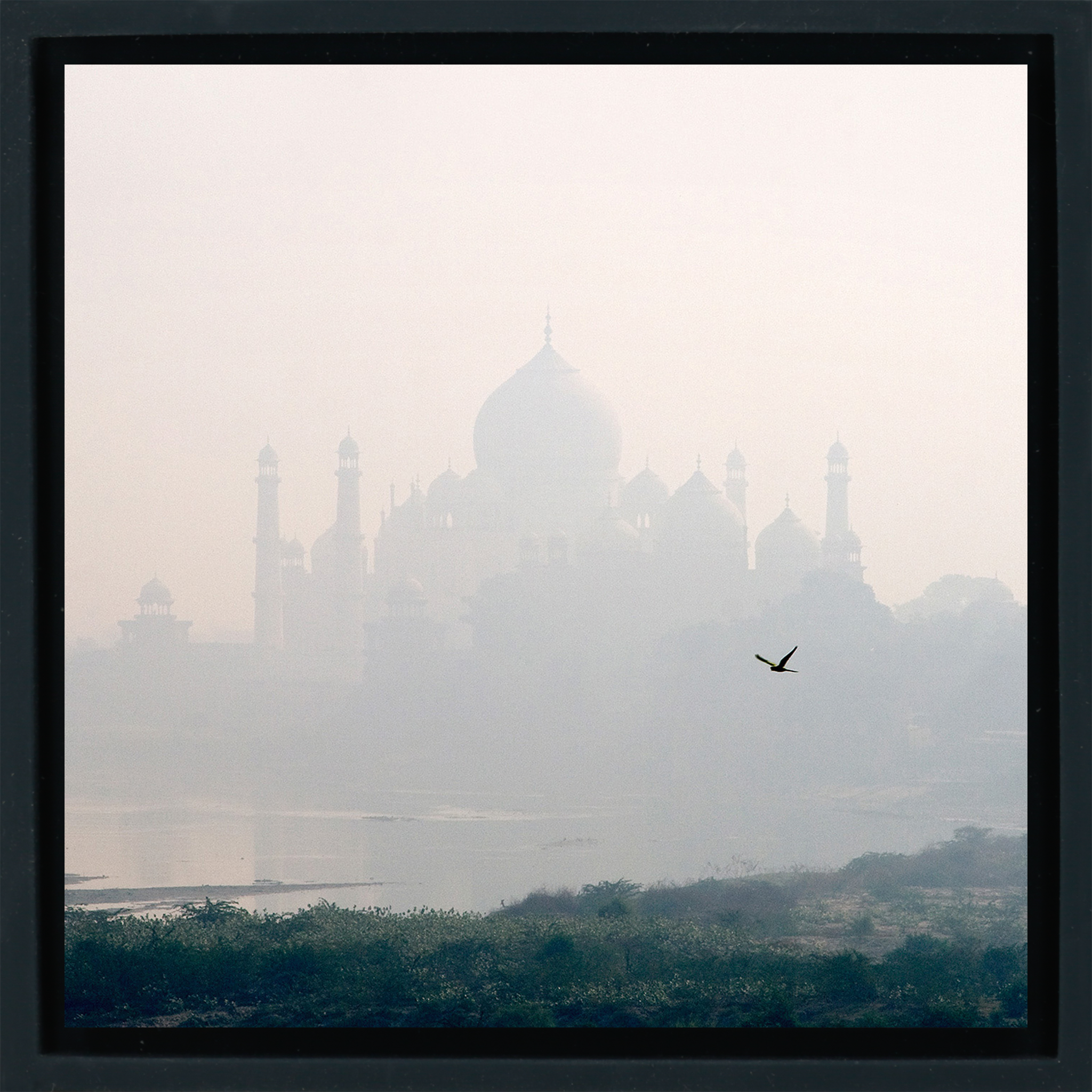 Taj Mahal - Emballage noir