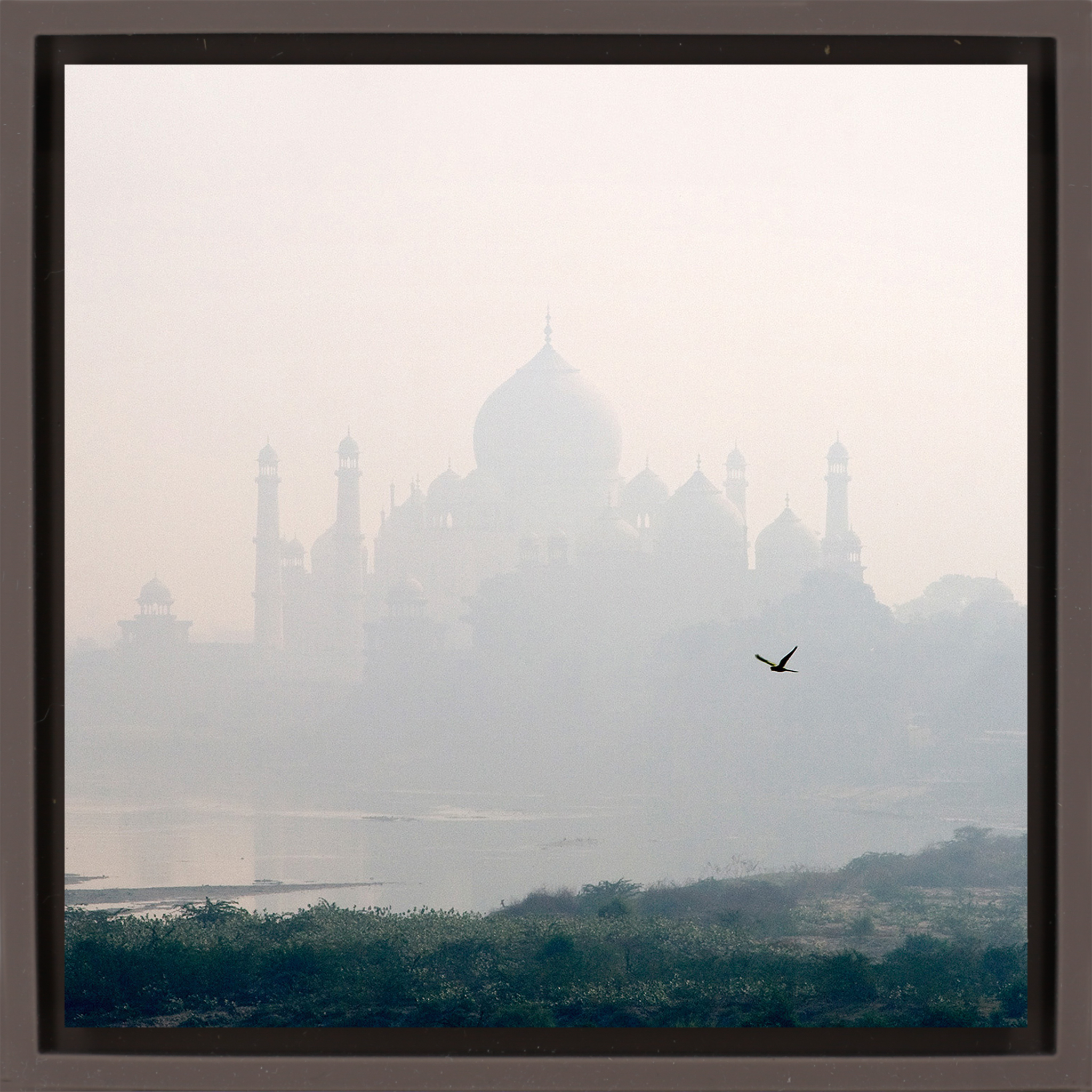 Taj Mahal - Brown Wrapp