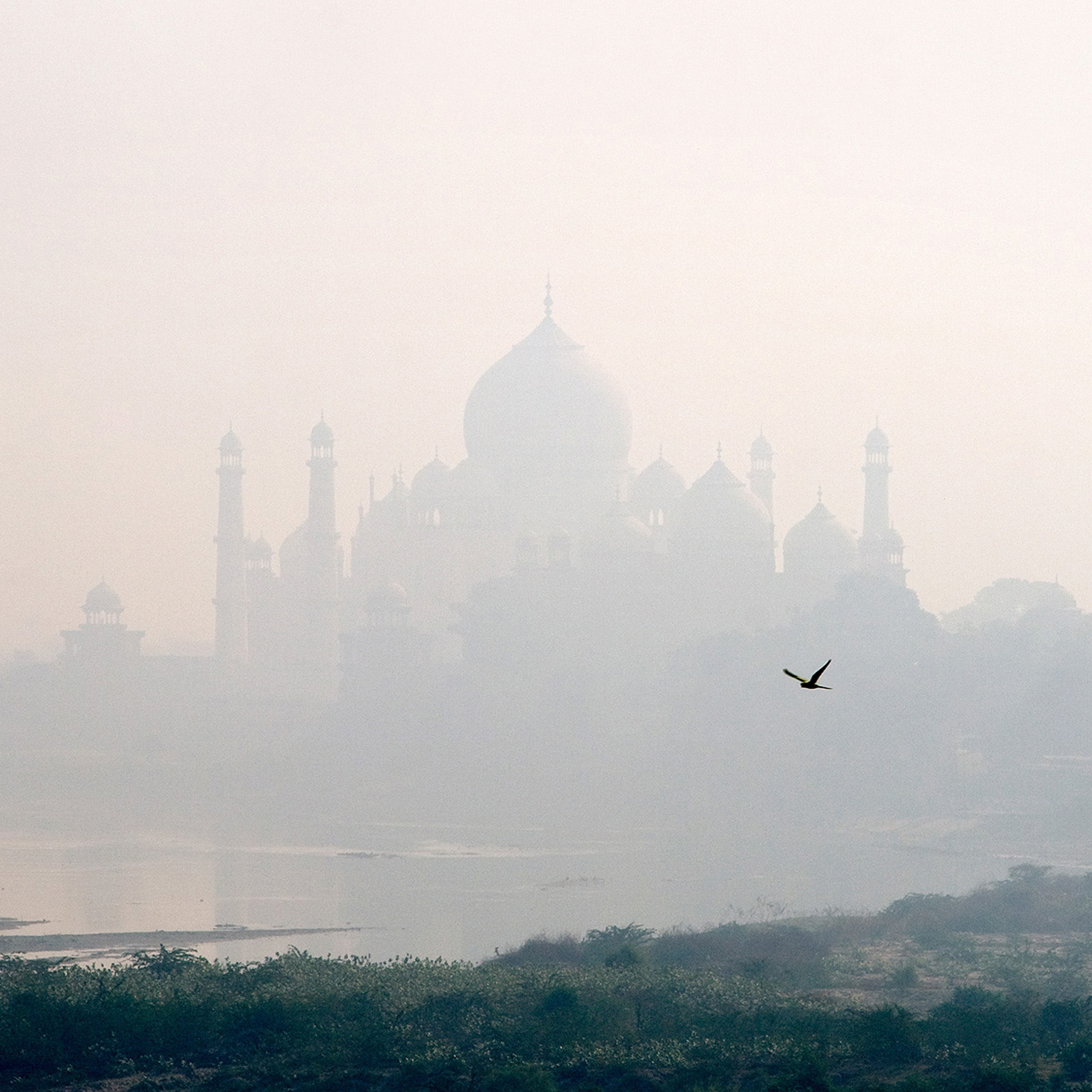 Taj Mahal - Collection : Inde