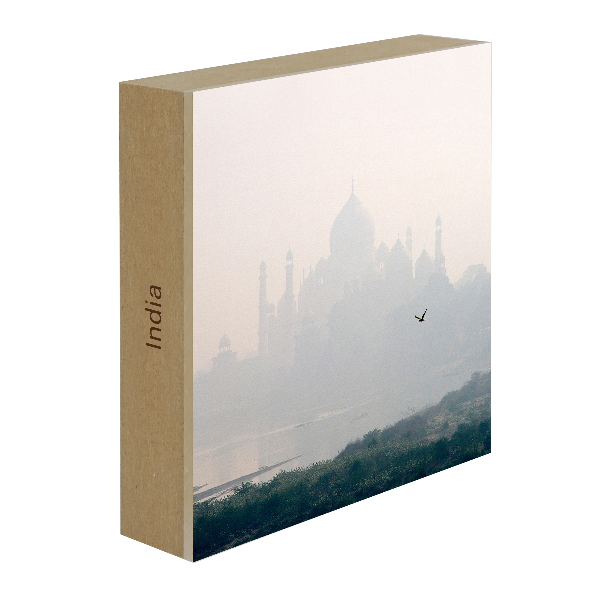 Taj Mahal - Collection : Inde
