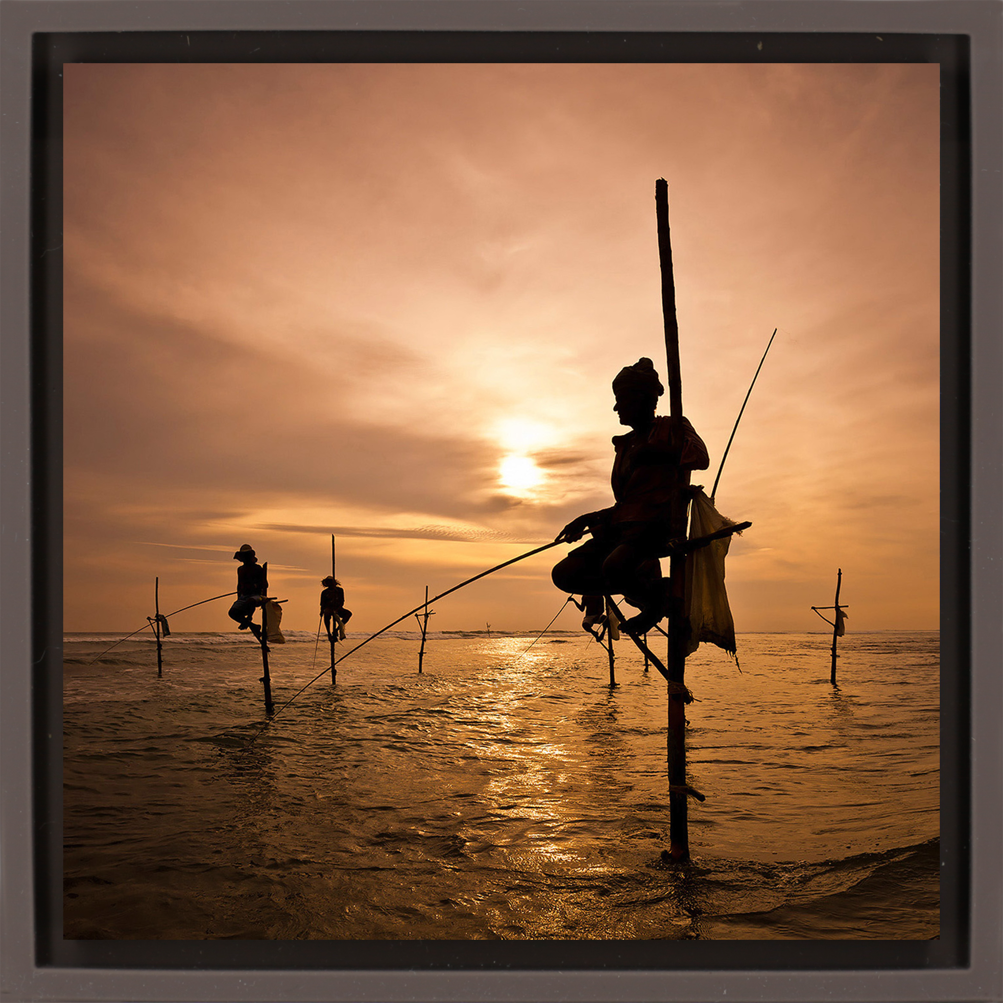 Fishermen - Brown Wrapp