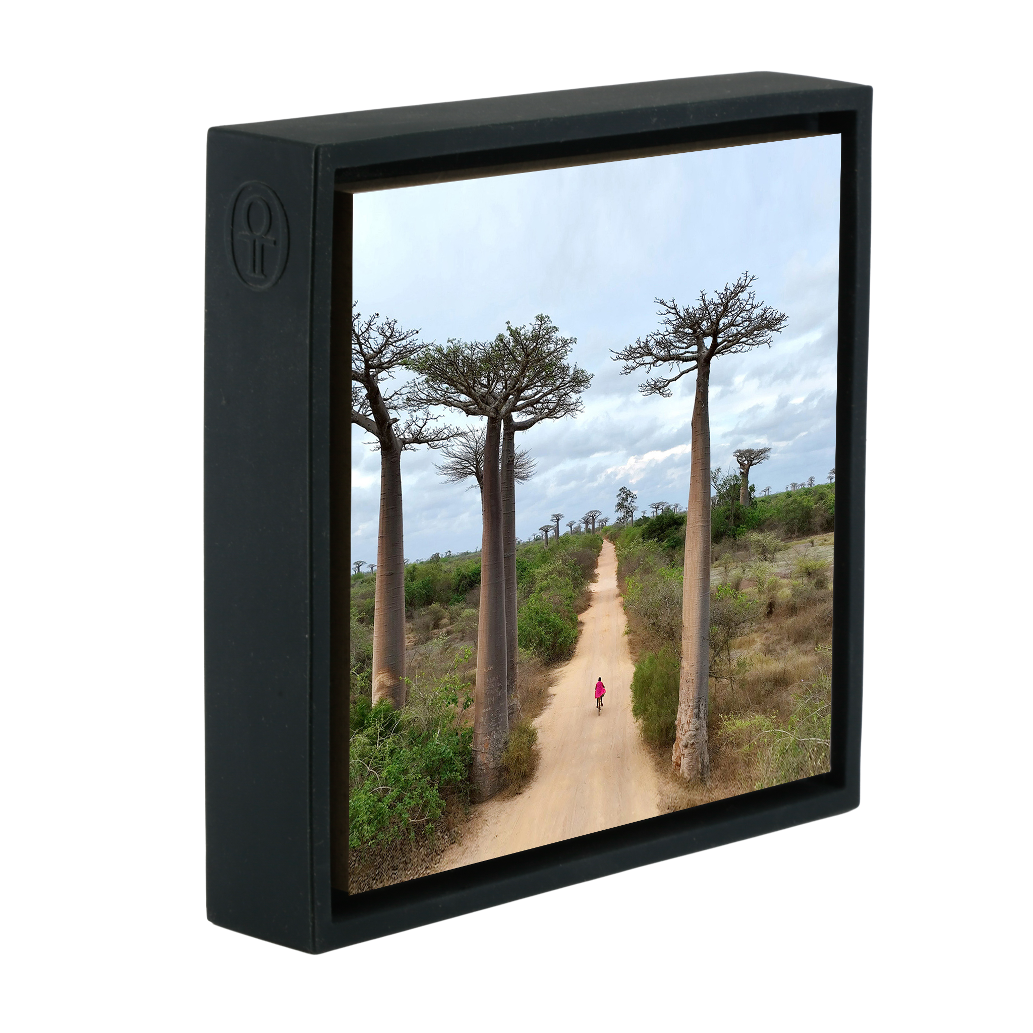 Cycling Between Trees - Zwarte Wrapp