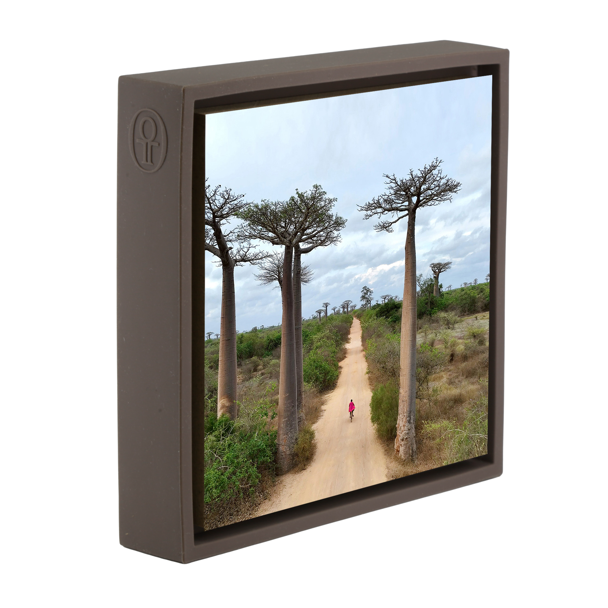 Cycling Between Trees - Bruine Wrapp
