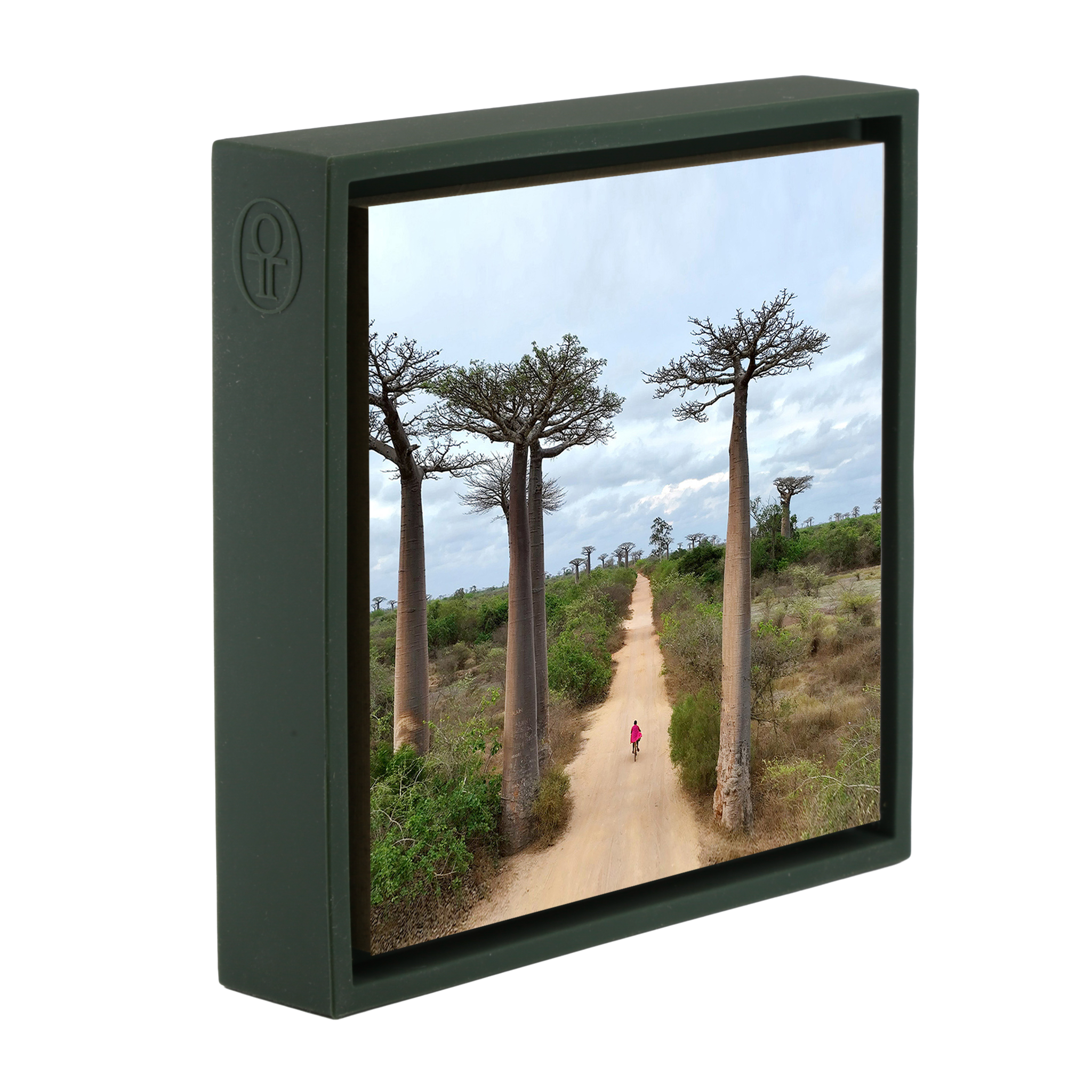 Cycling Between Trees - Donkergroene Wrapp