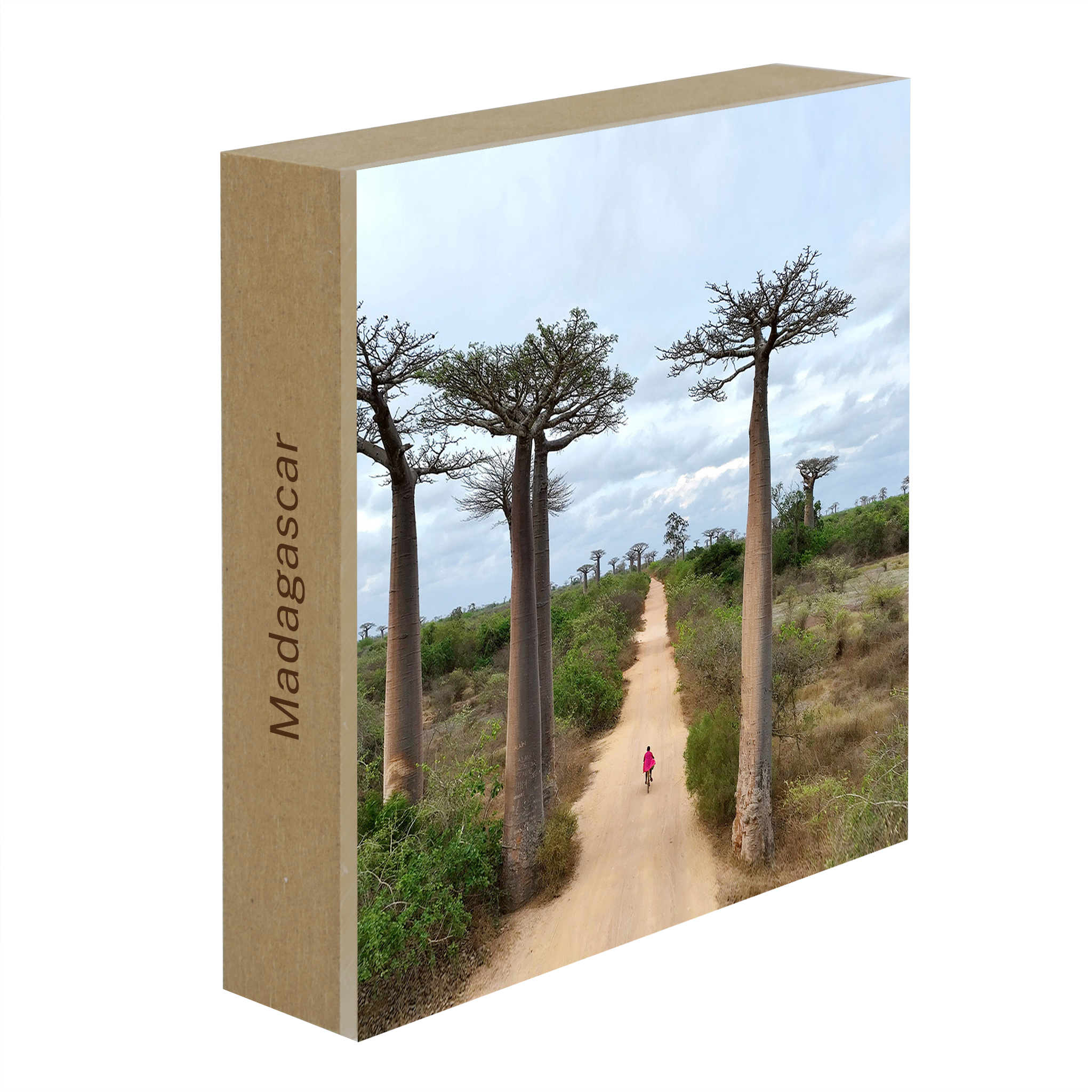 Cycling Between Trees - Blanco Look