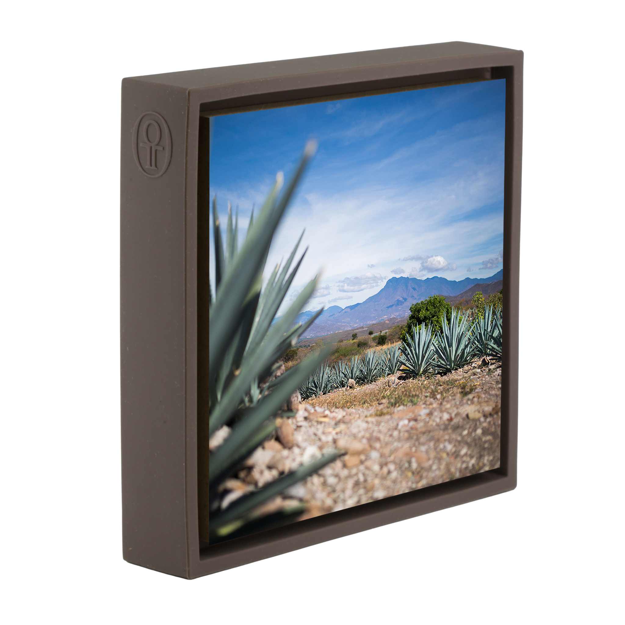 Agave- Brown Wrapp