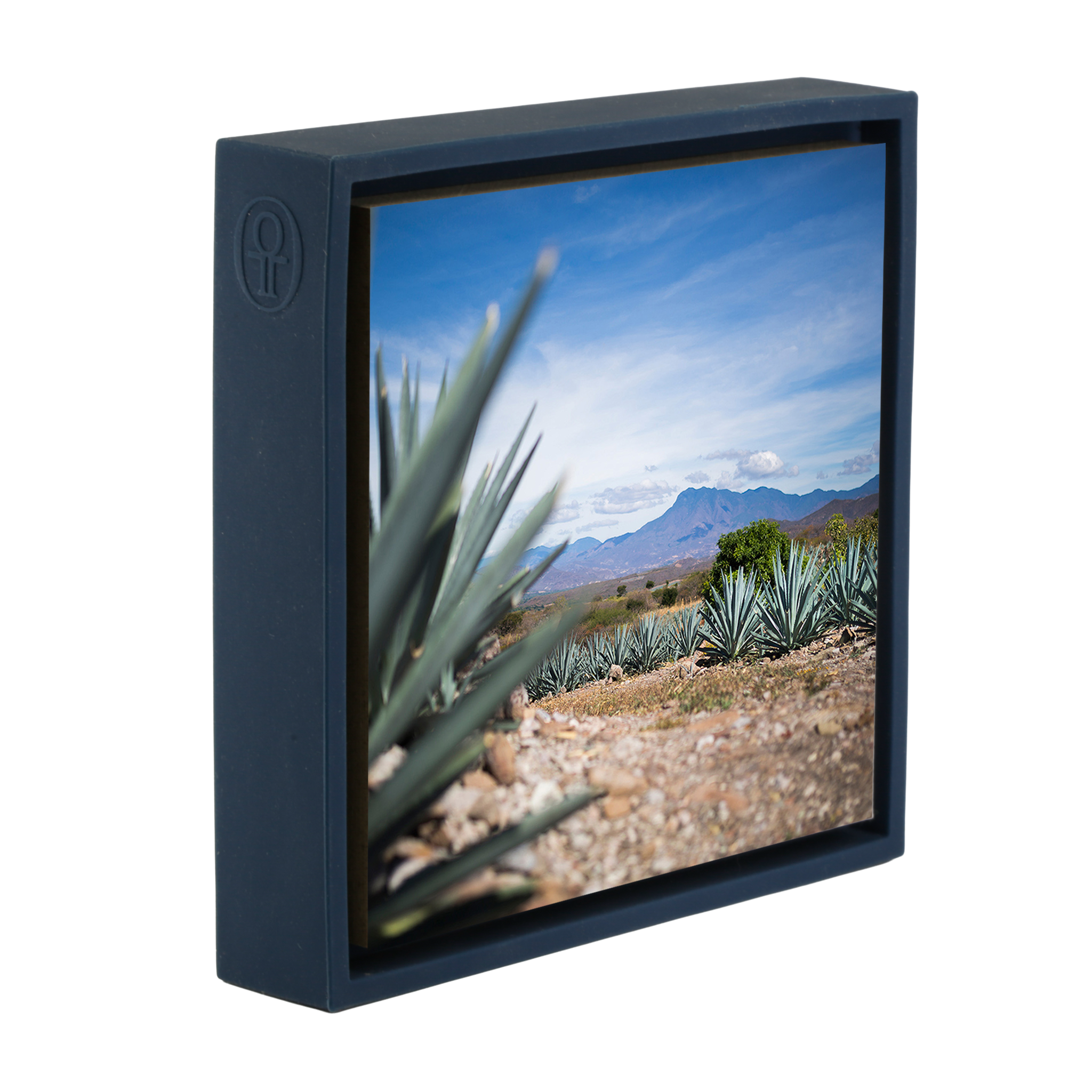 Agave- Dark Blue Wrapp