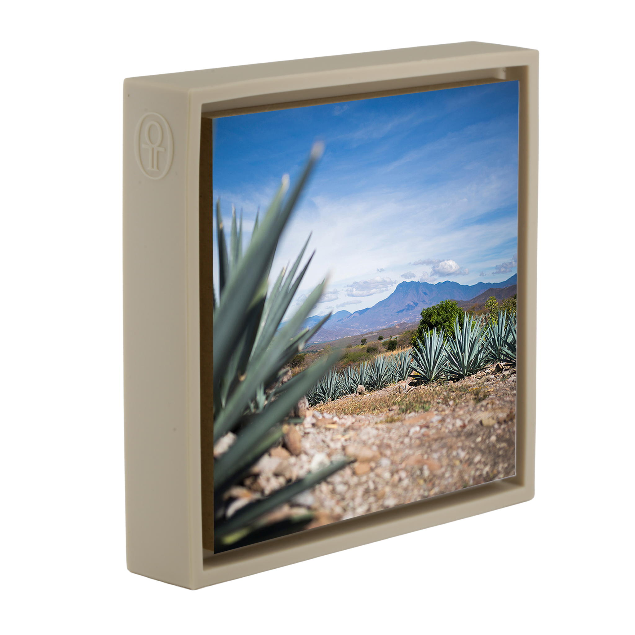 Agave- Sand Wrapp