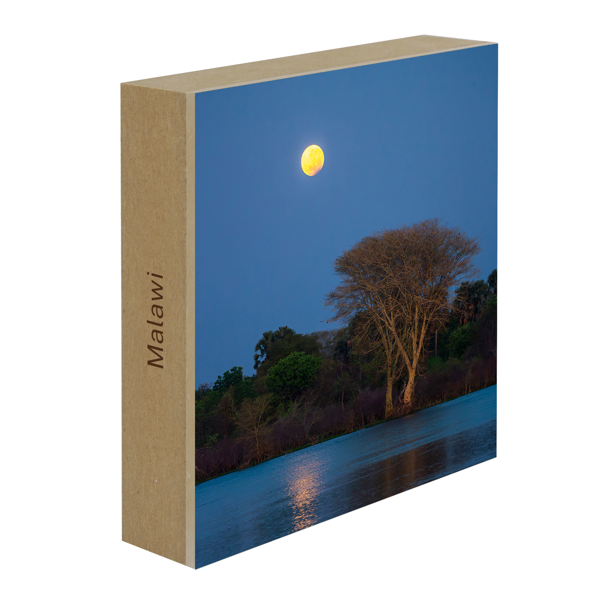 Moon Tree- Collection: Malawi