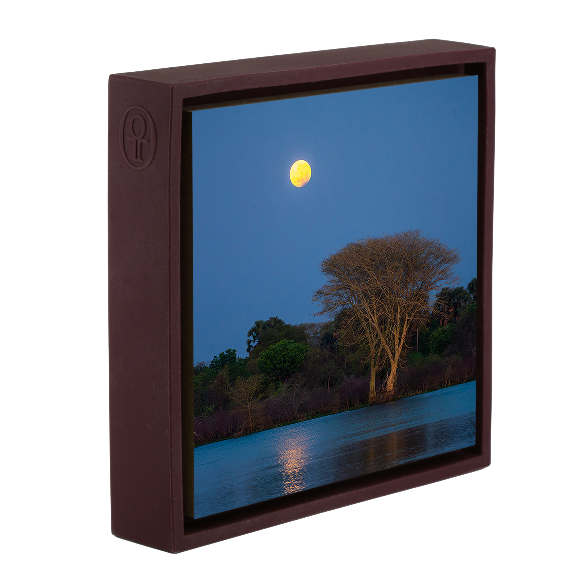 Moon Tree - Paarse Wrapp