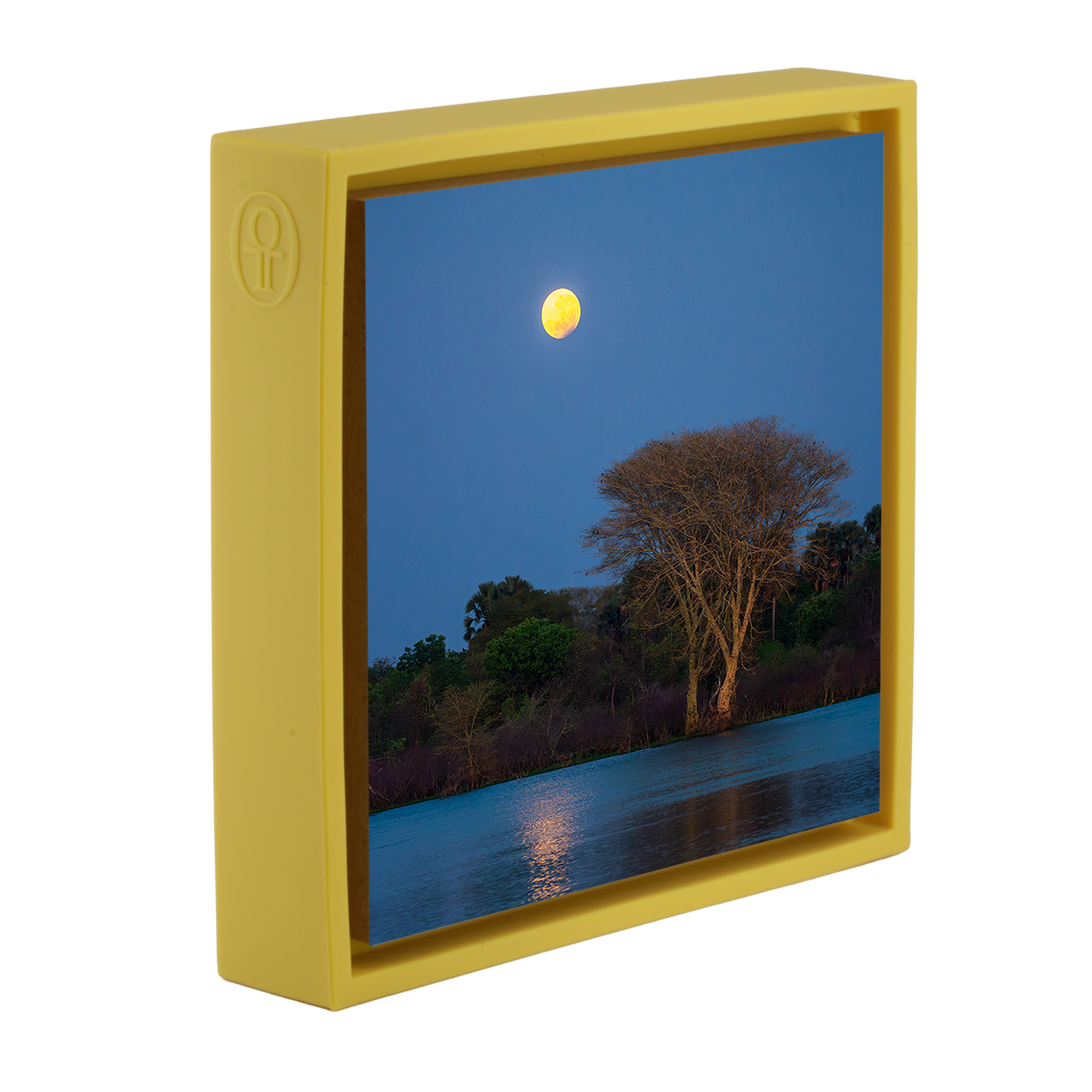 Moon Tree- Yellow Wrapp