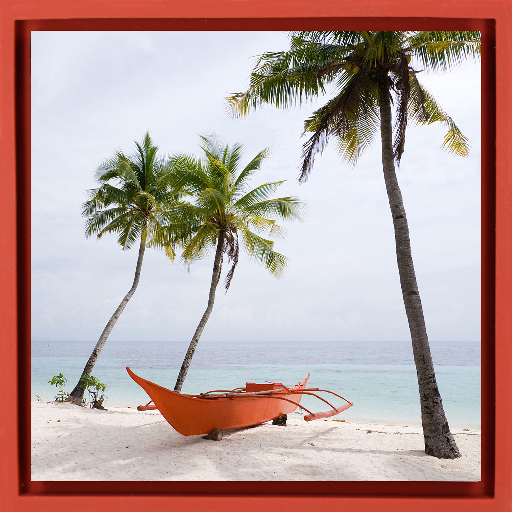 Palm Beach - Red Wrapp