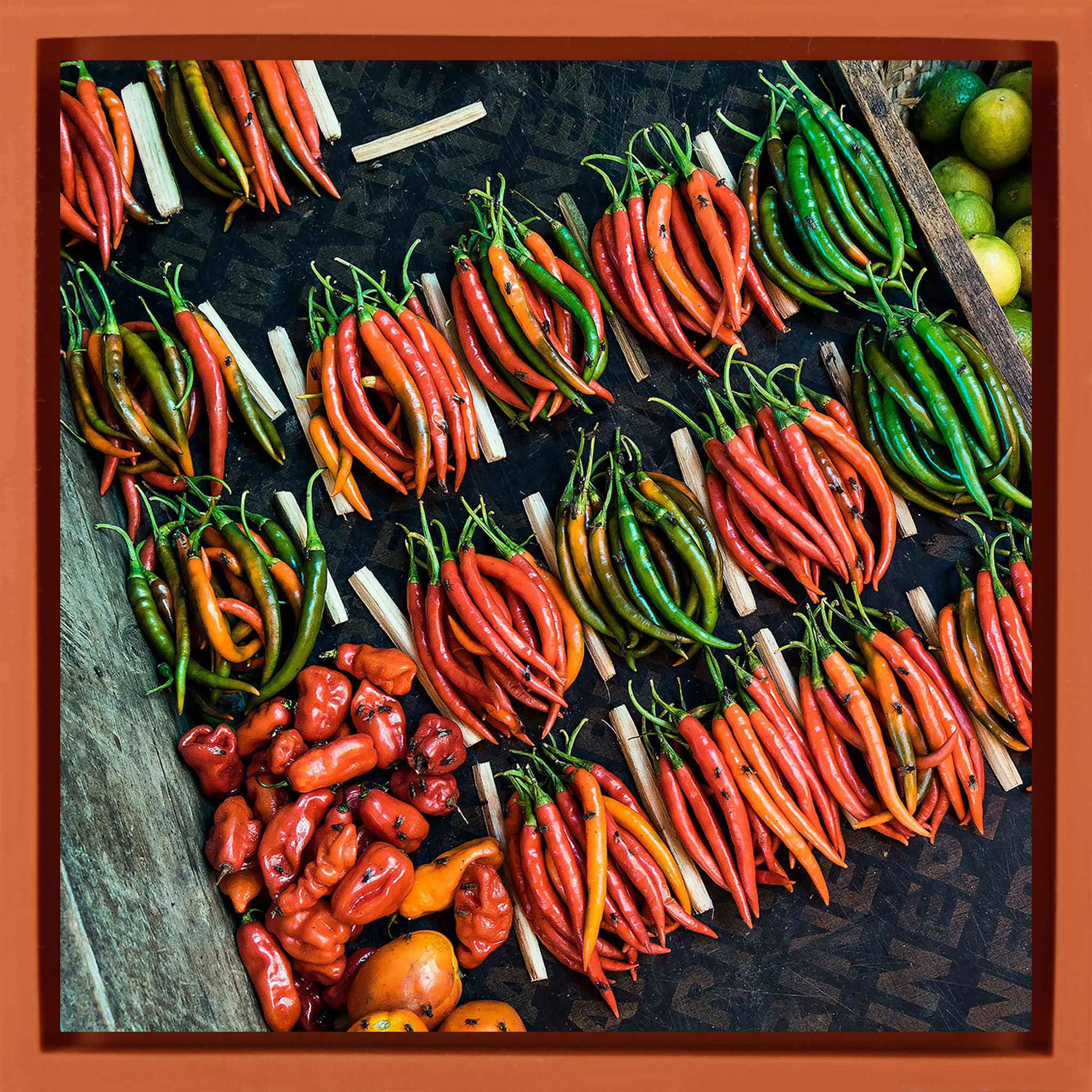 Pepper - Orange Wrapp