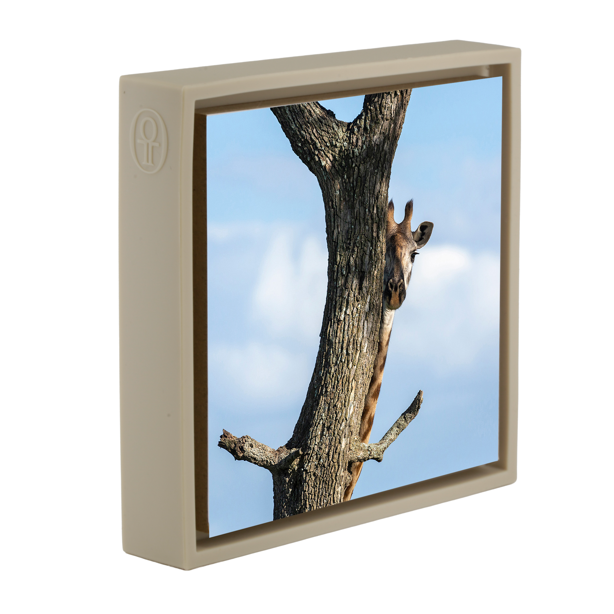 Hiding Giraffe - Sand Wrapp