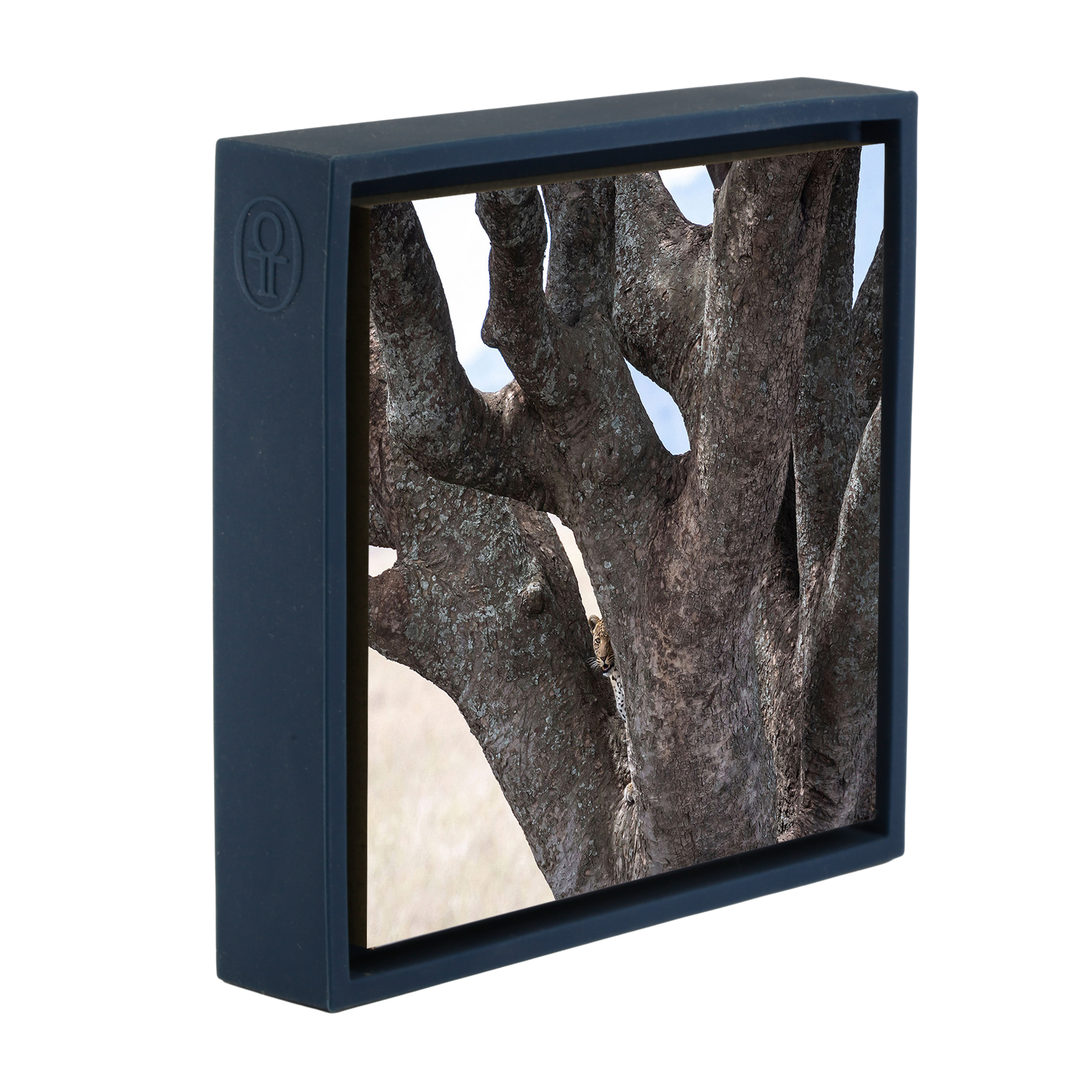 Lion Tree - Dark Blue Wrapp