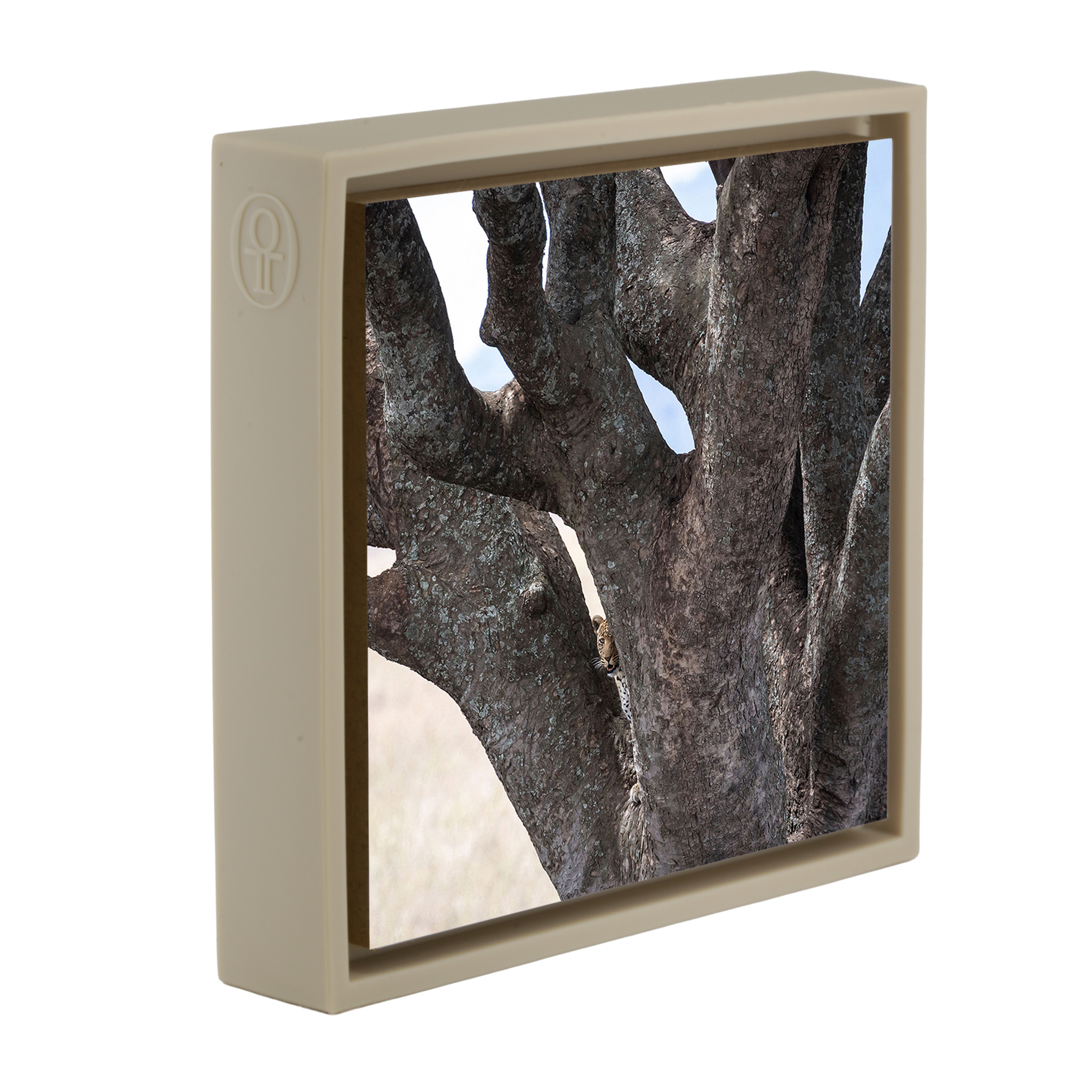 Lion Tree - Sand Wrapp