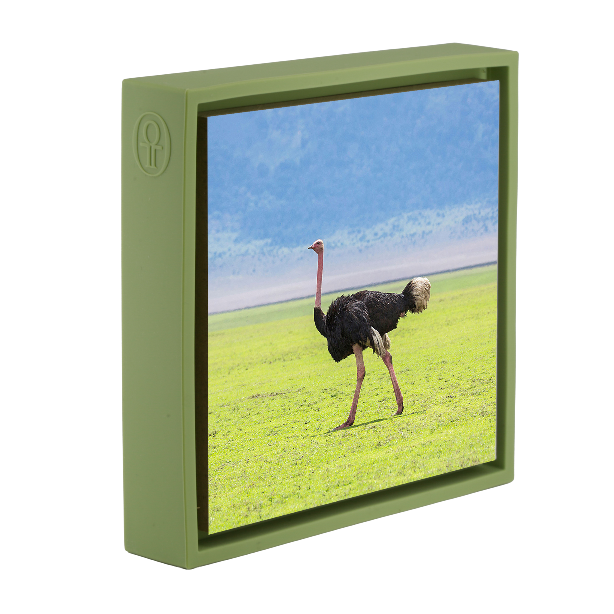 Ostrich - Light Green Wrapp