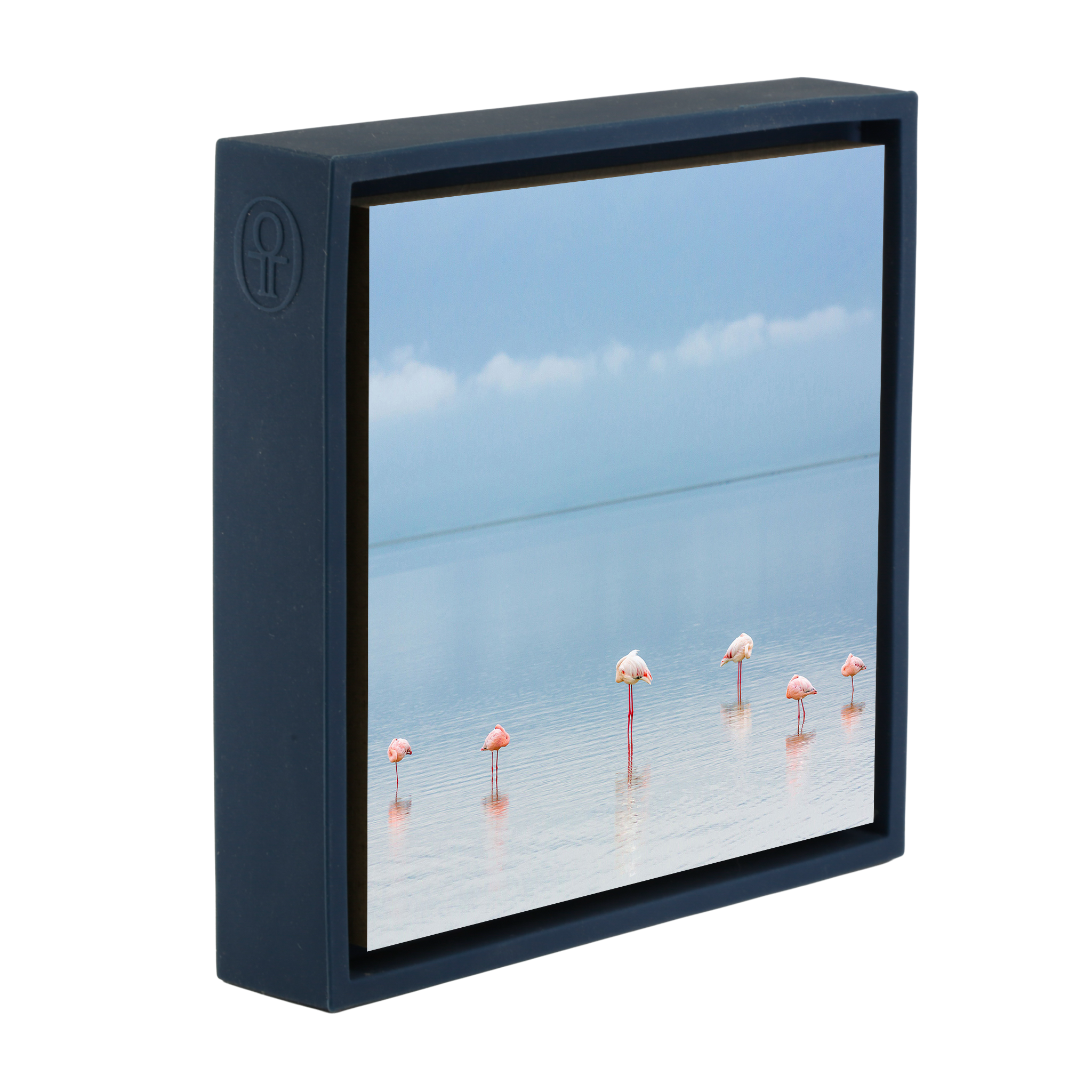 Flamengos - Dark Blue Wrapp