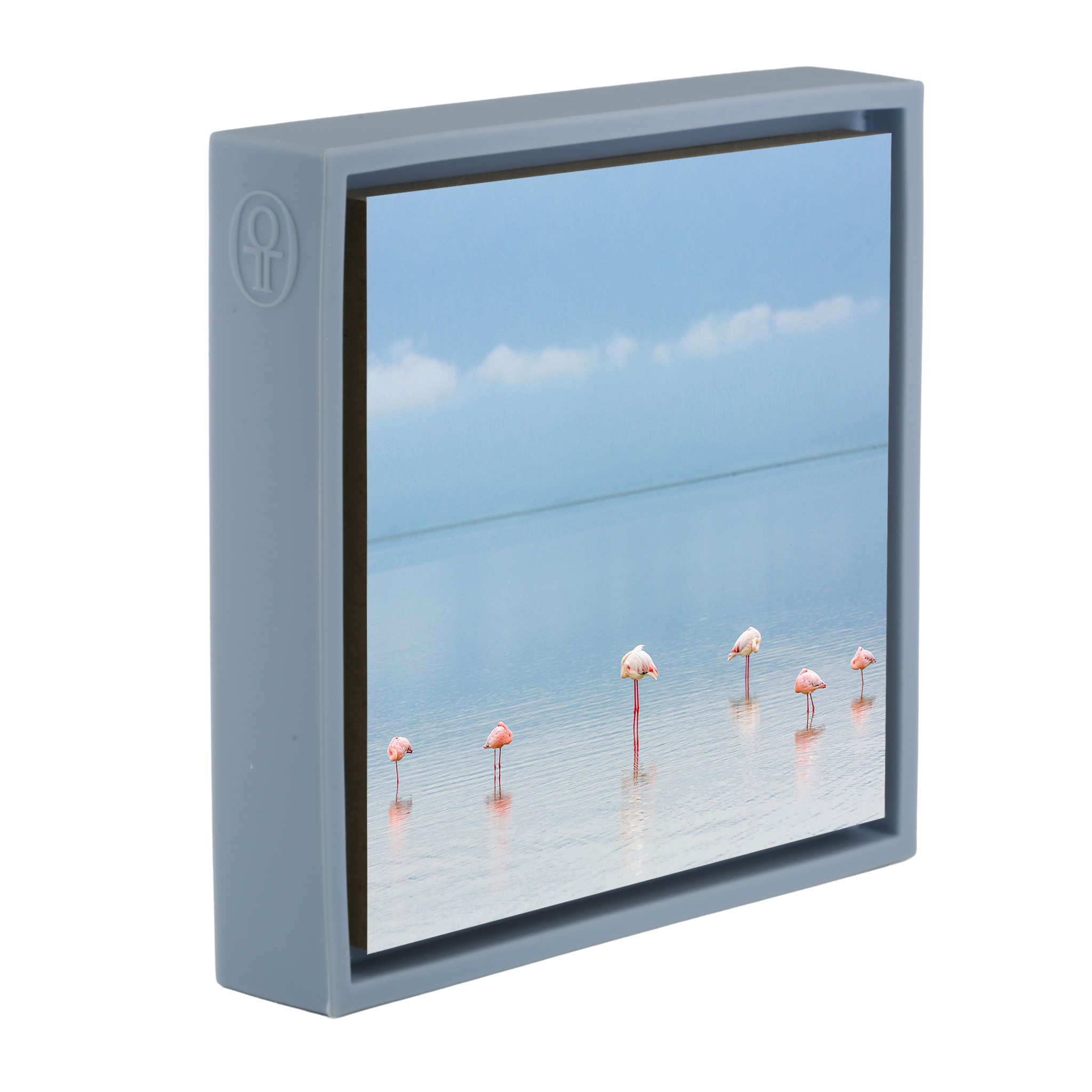 Flamengos - Light Blue Wrapp