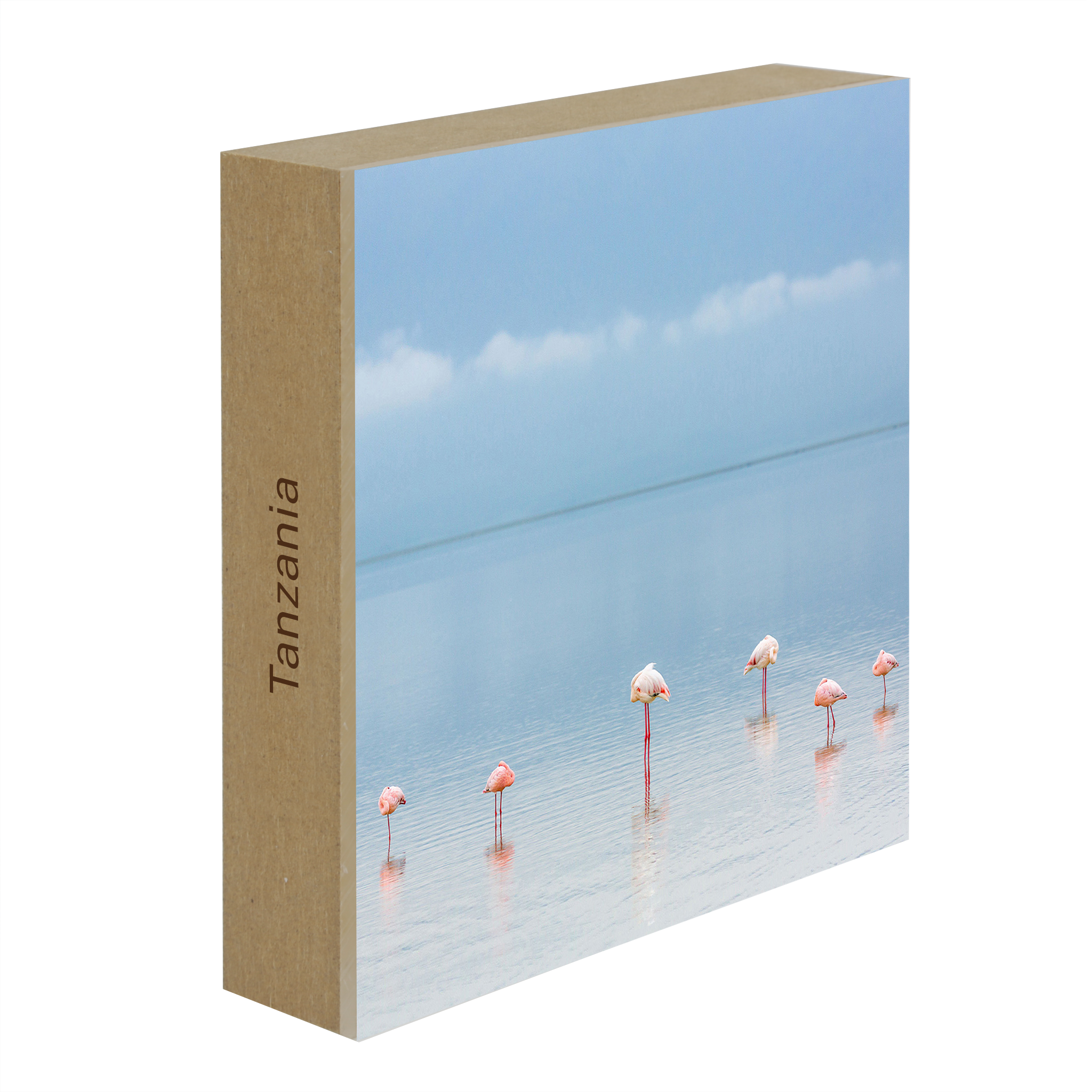 Flamengos - Collection : Tanzanie