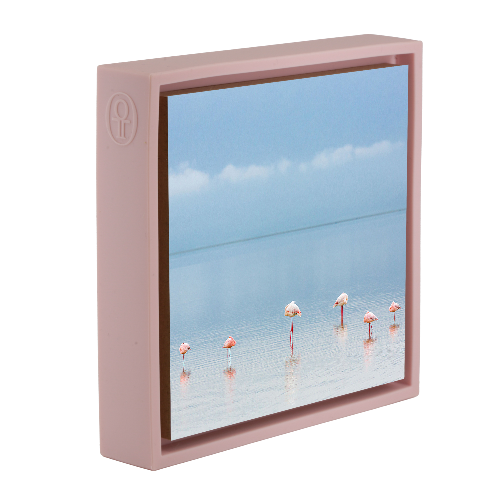 Flamengos - Pink Wrapp