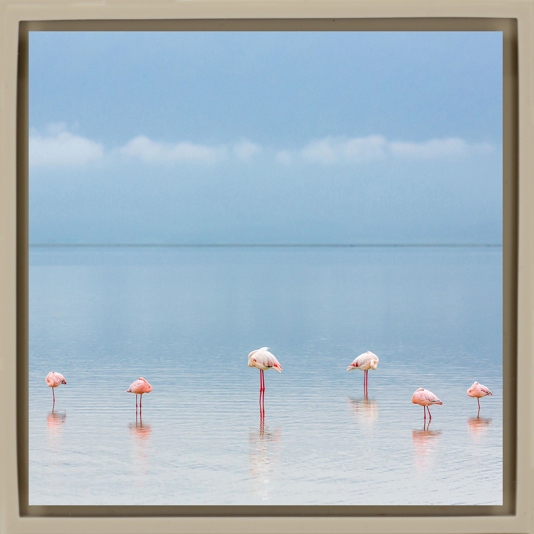 Flamengos - Sand Wrapp