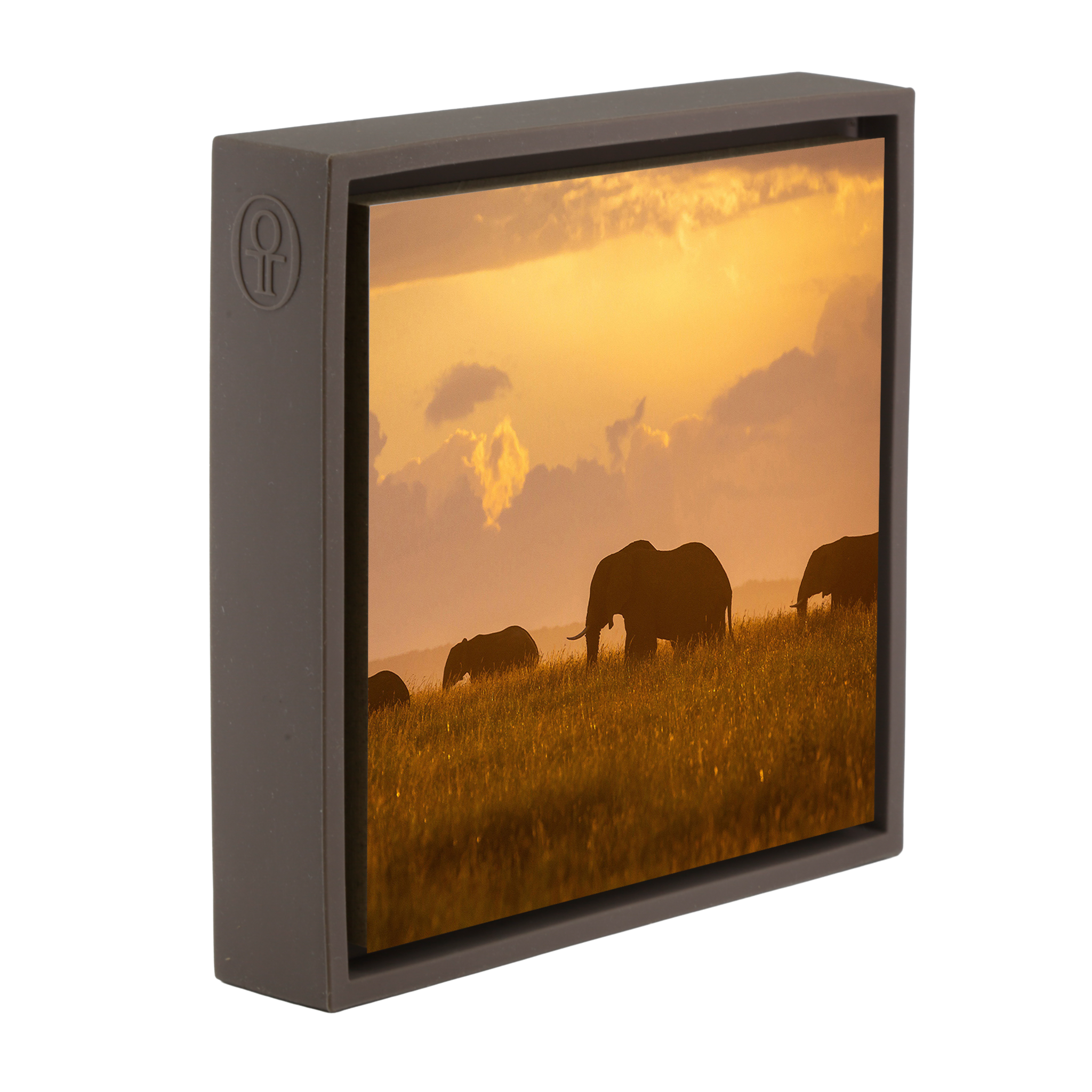 Orange Elephants - Brown Wrapp