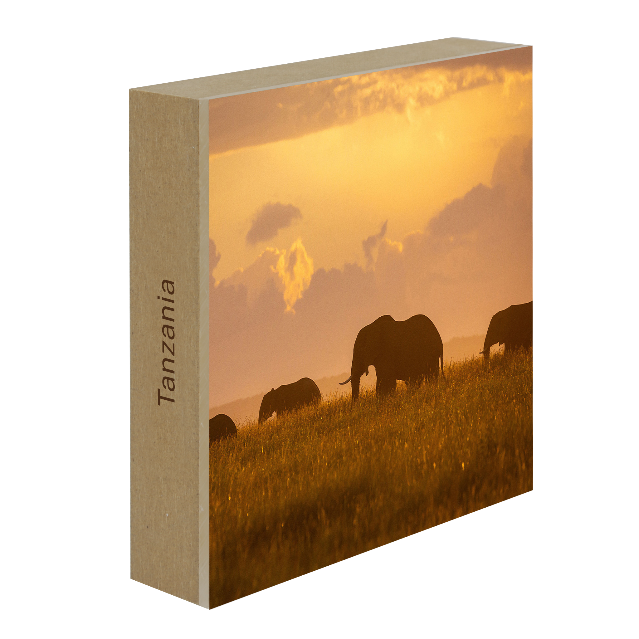 Orange Elephants - Collection: Tanzania