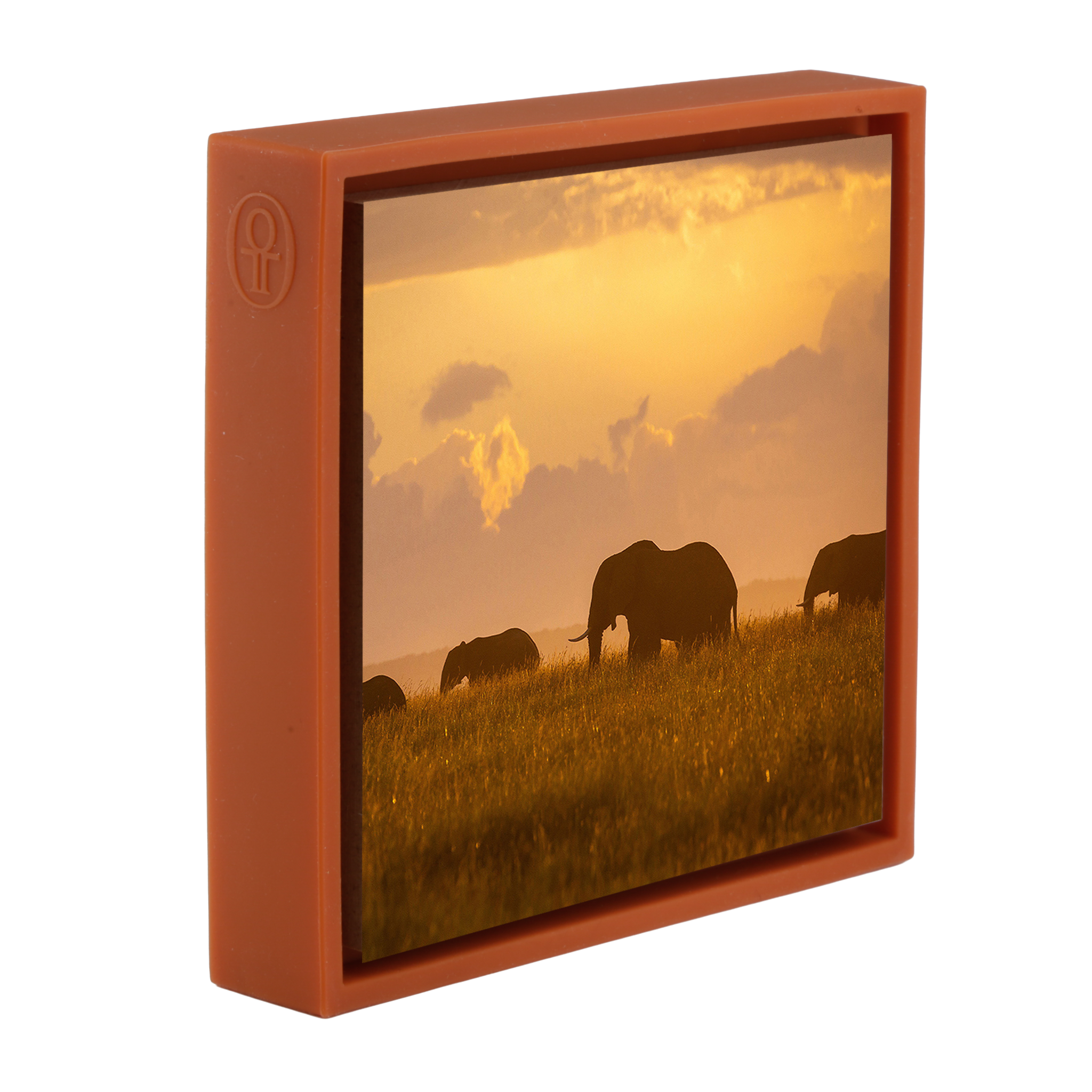 Orange Elephants - Orange Wrapp