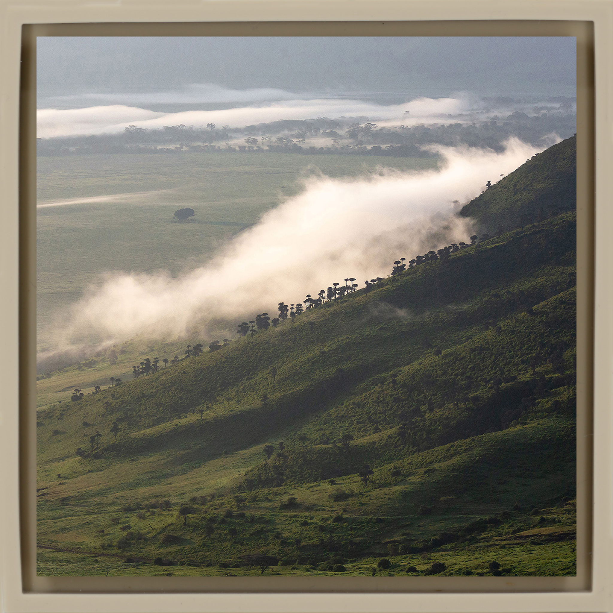 Foggy Hill - Sand Wrapp