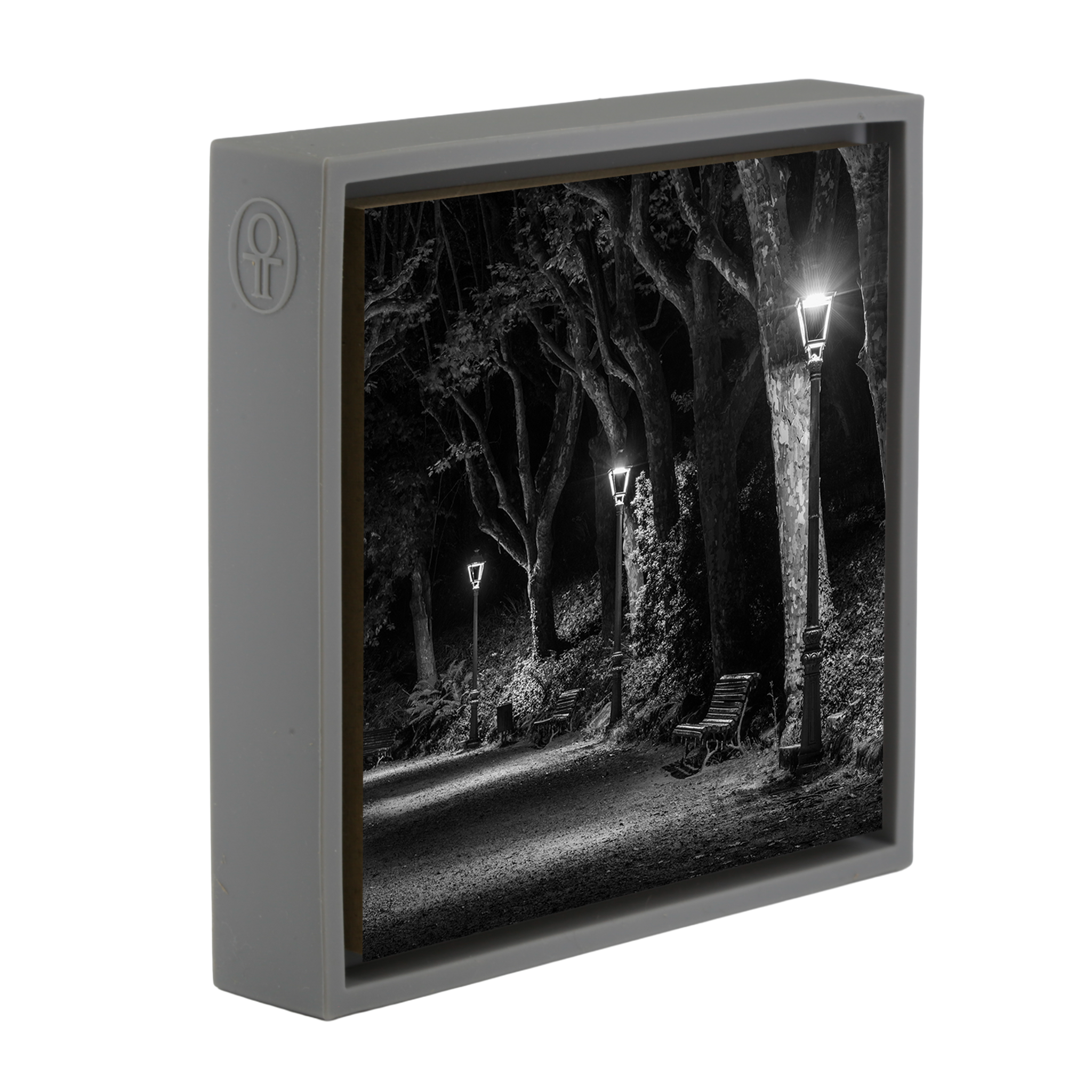 Der dunkle Pfad – Graue Verpackung