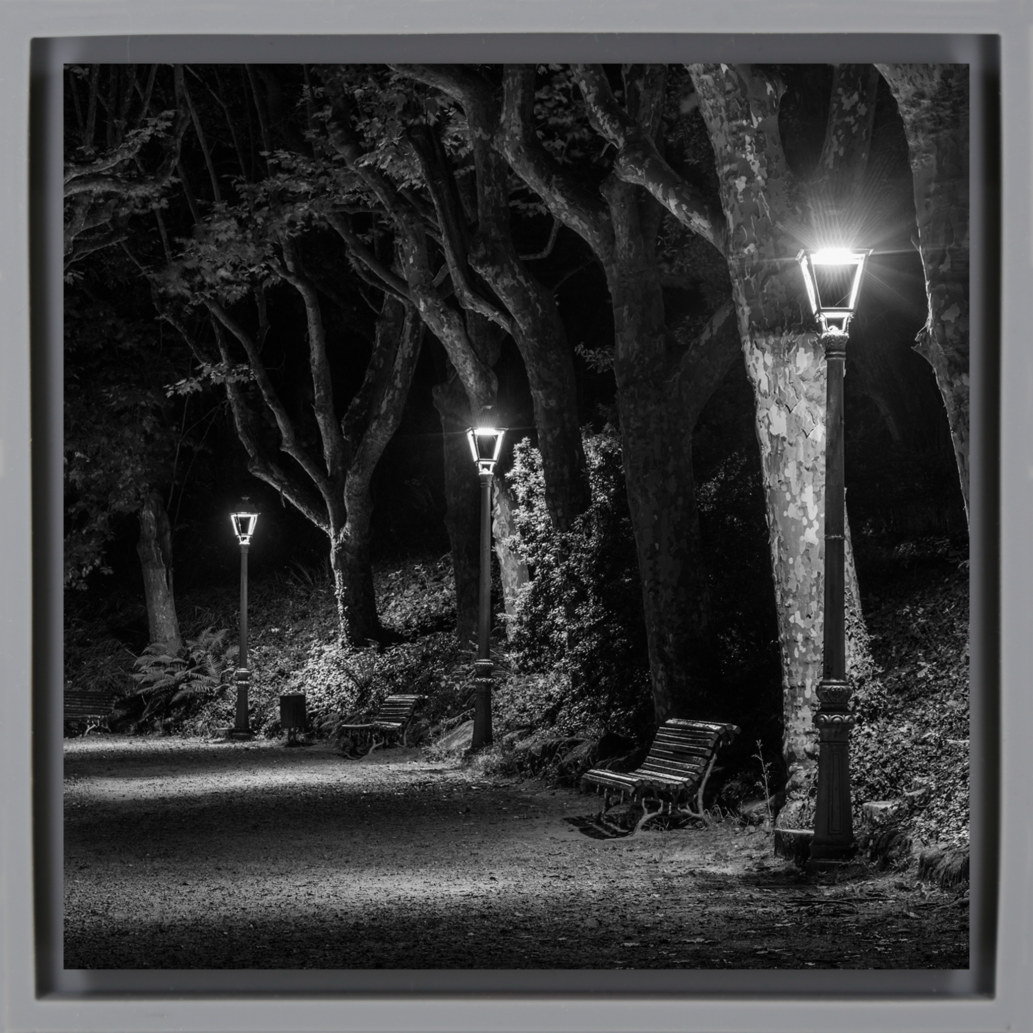 Der dunkle Pfad – Graue Verpackung