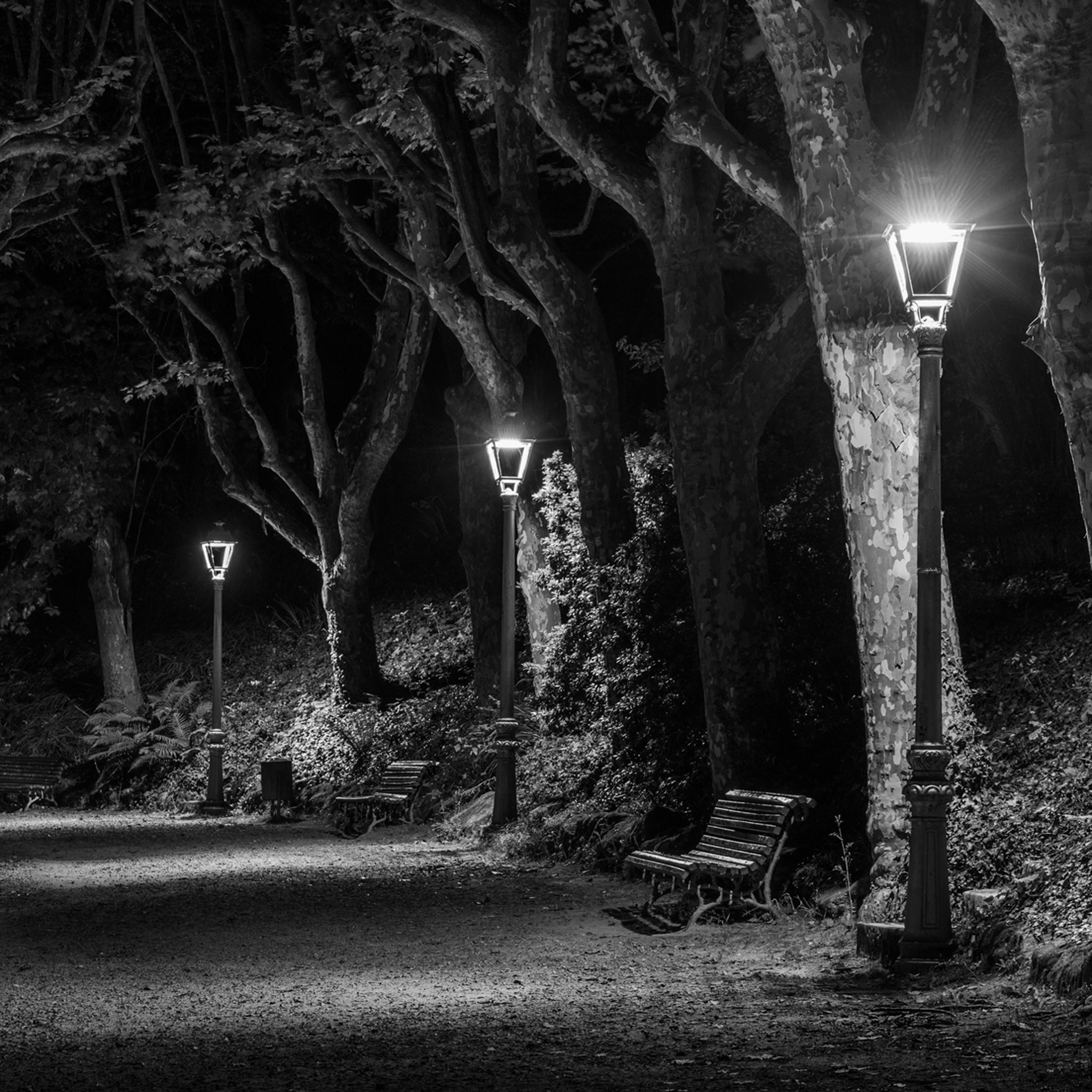 The Dark Path- Collection: Spain