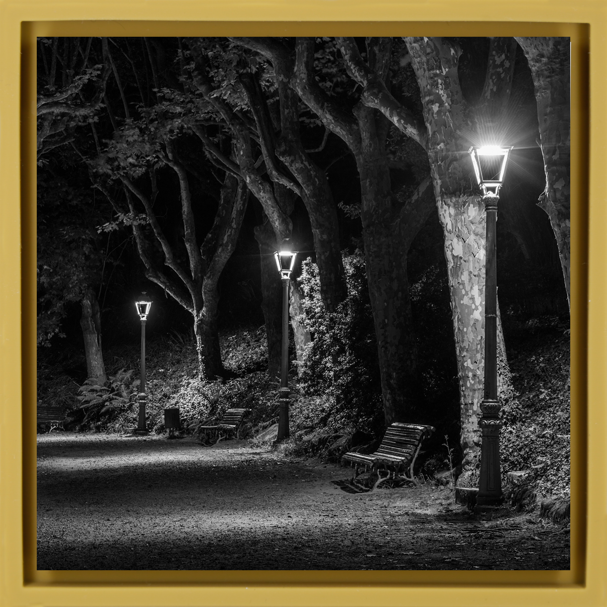 The Dark Path- Ochre Wrapp