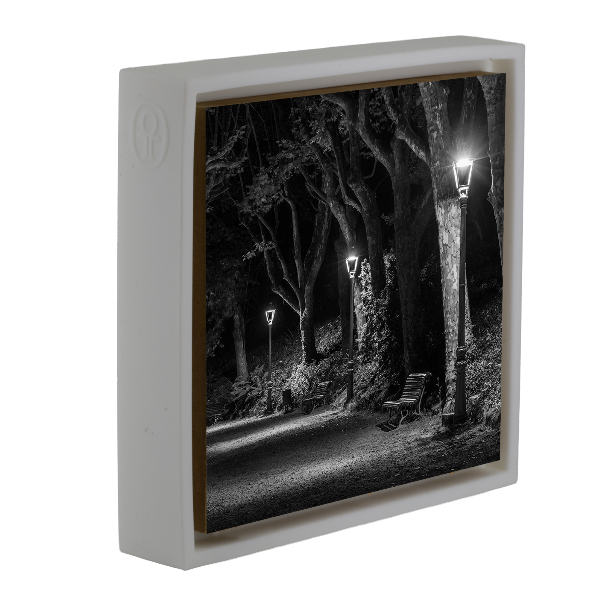 The Dark Path- White Wrapp