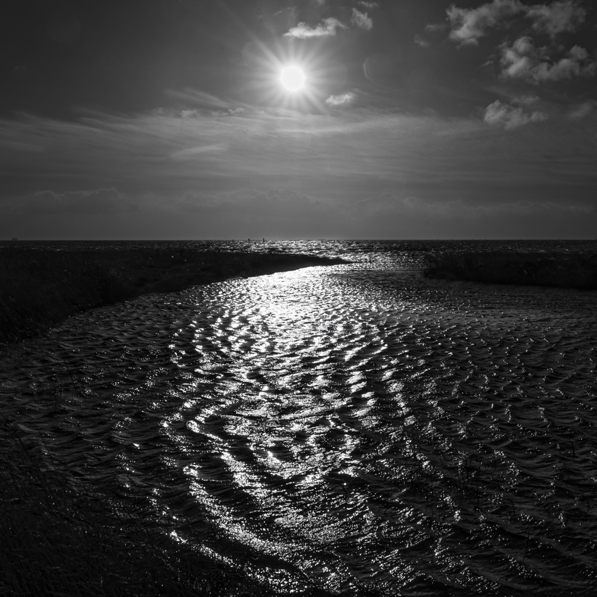 Waterway- Collection: The Netherlands