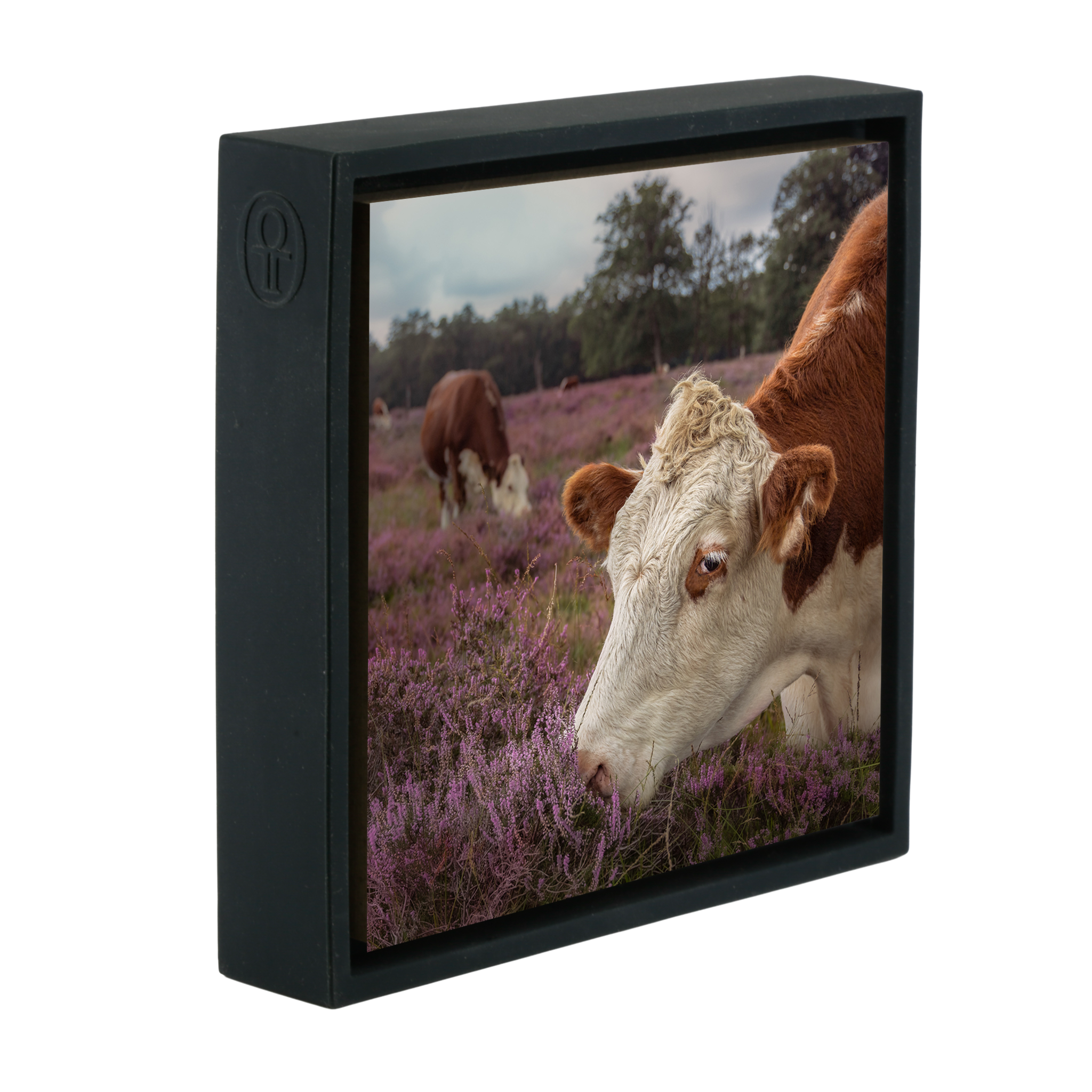 Heath Guard- Black Wrapp