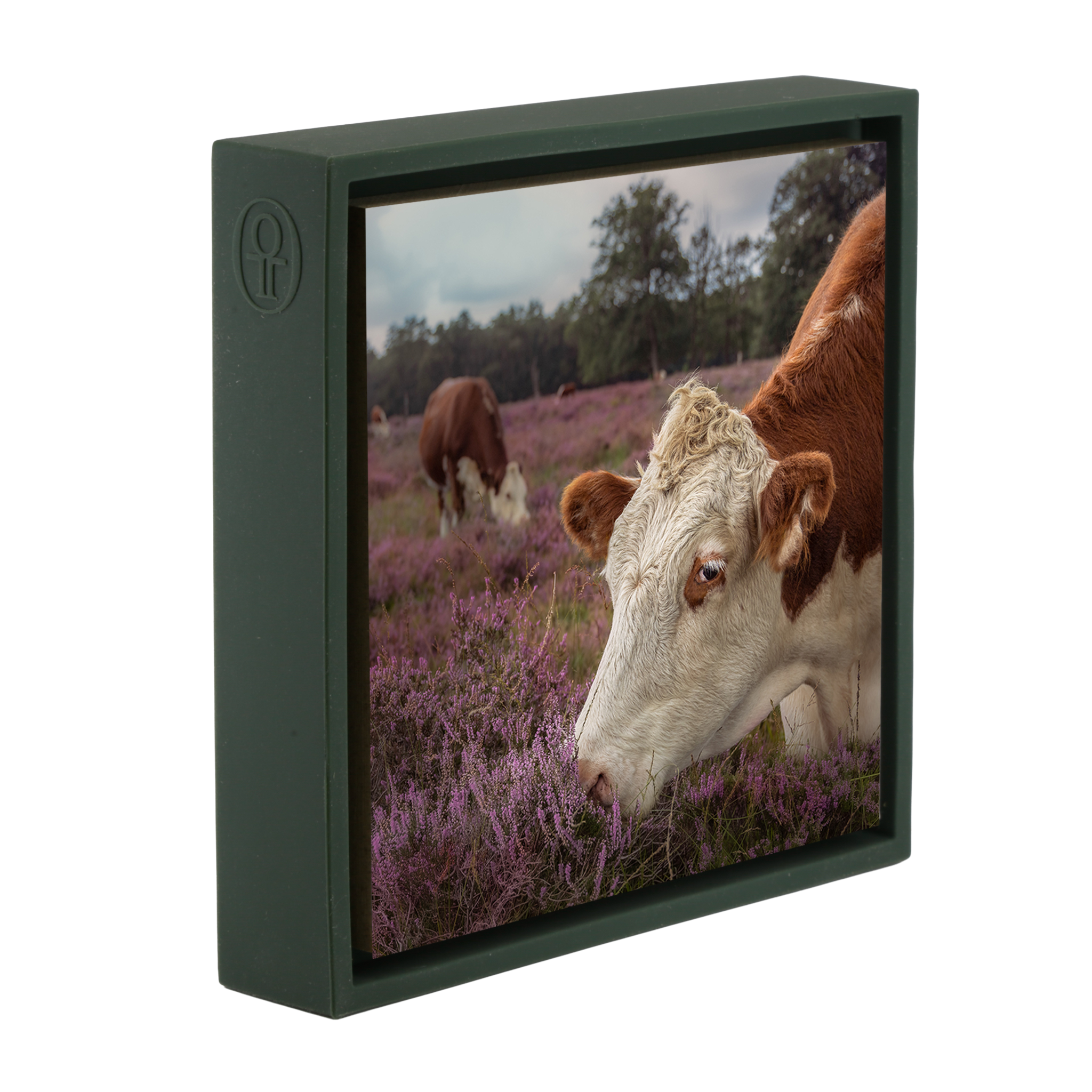 Heath Guard – Dunkelgrüne Verpackung