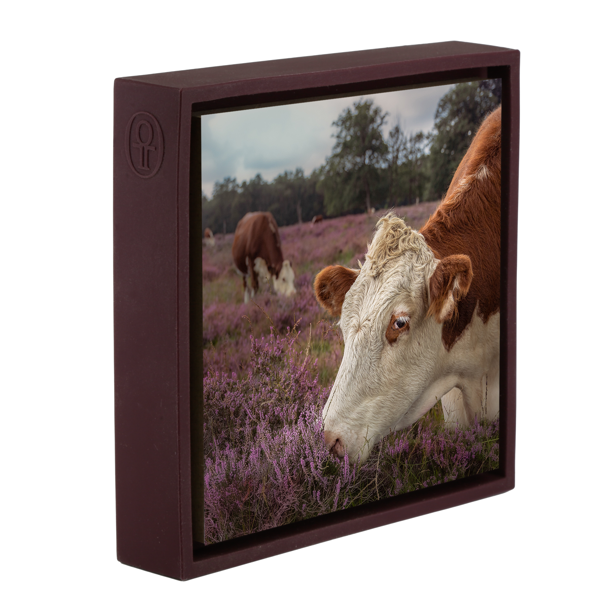 Heath Guard- Purple Wrapp