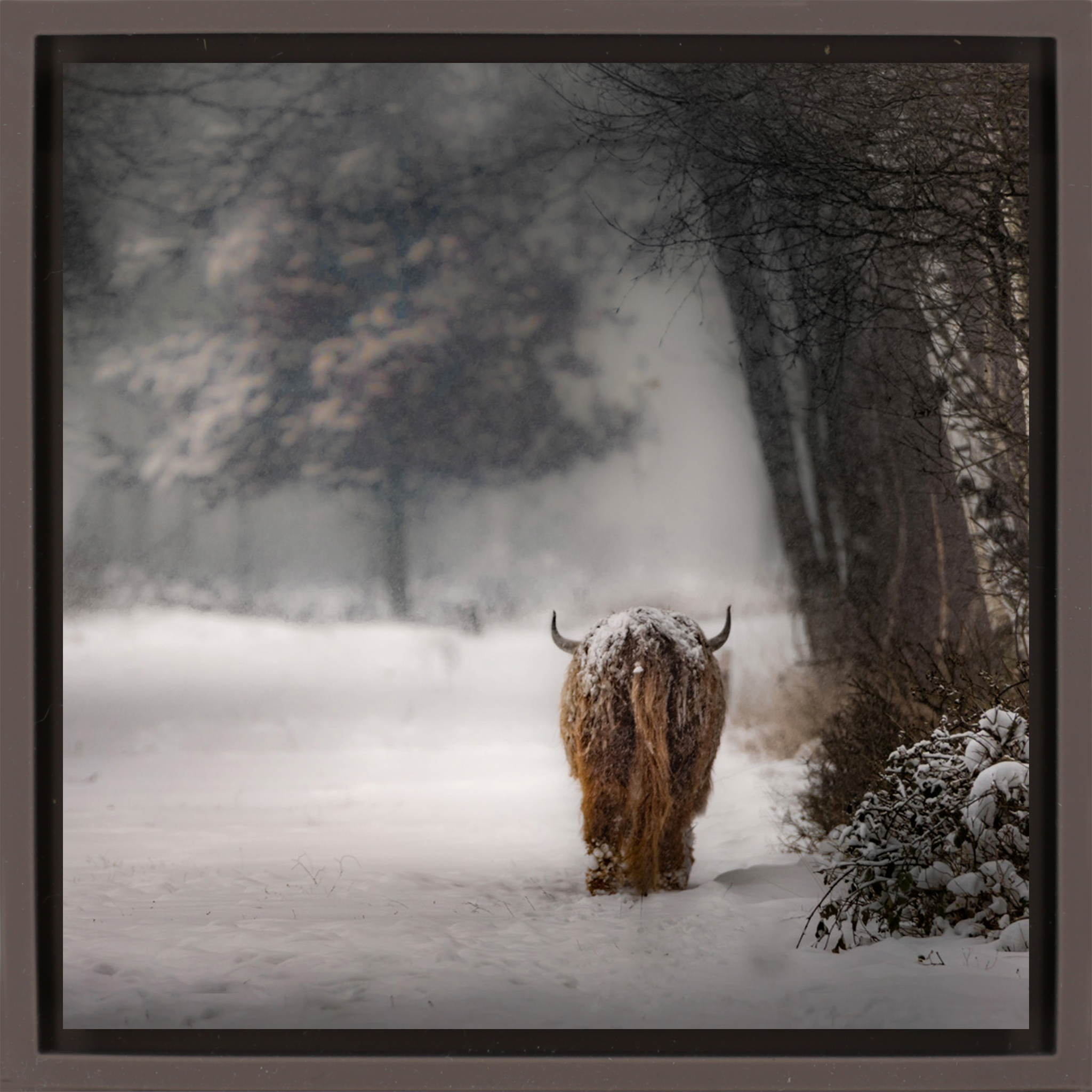 Highlander - Bruine Wrapp