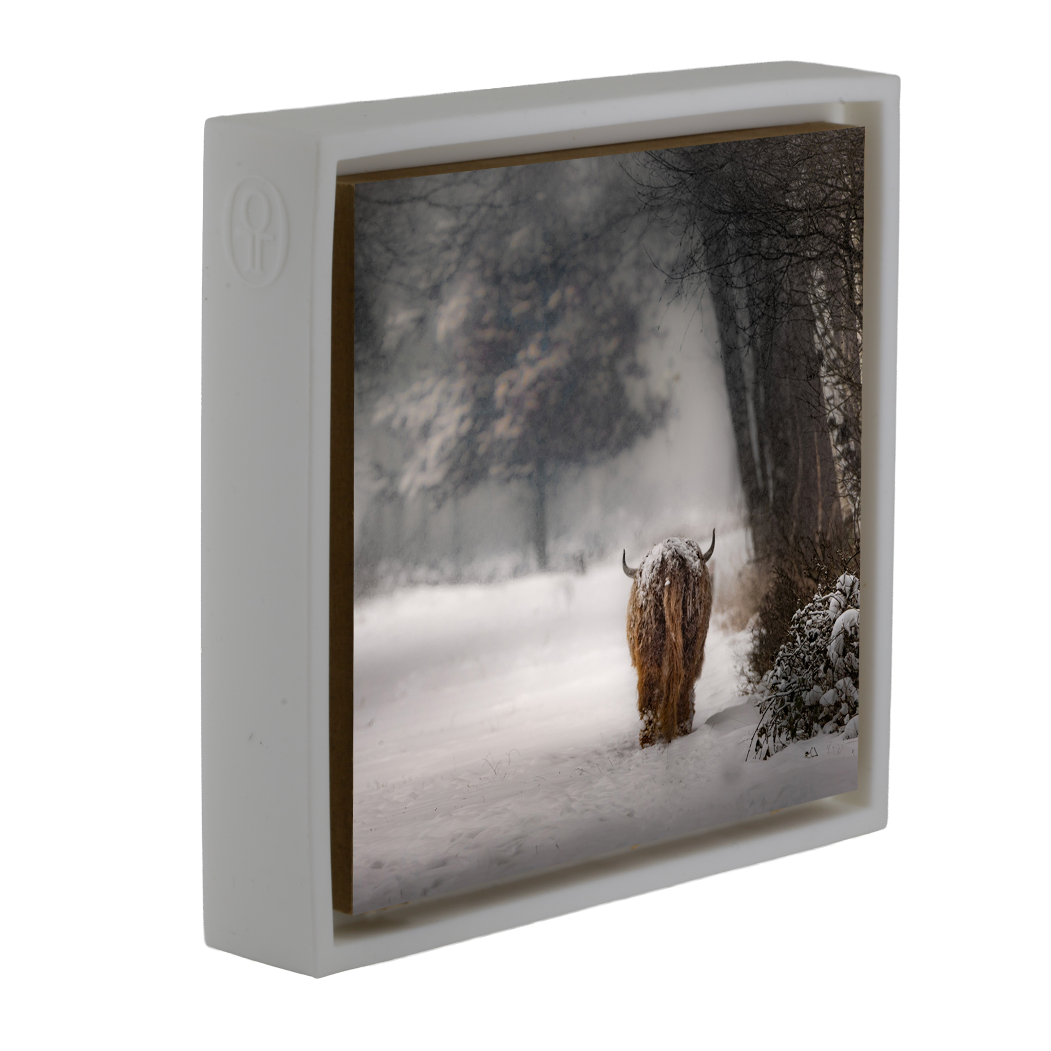 Highlander - Witte Wrapp